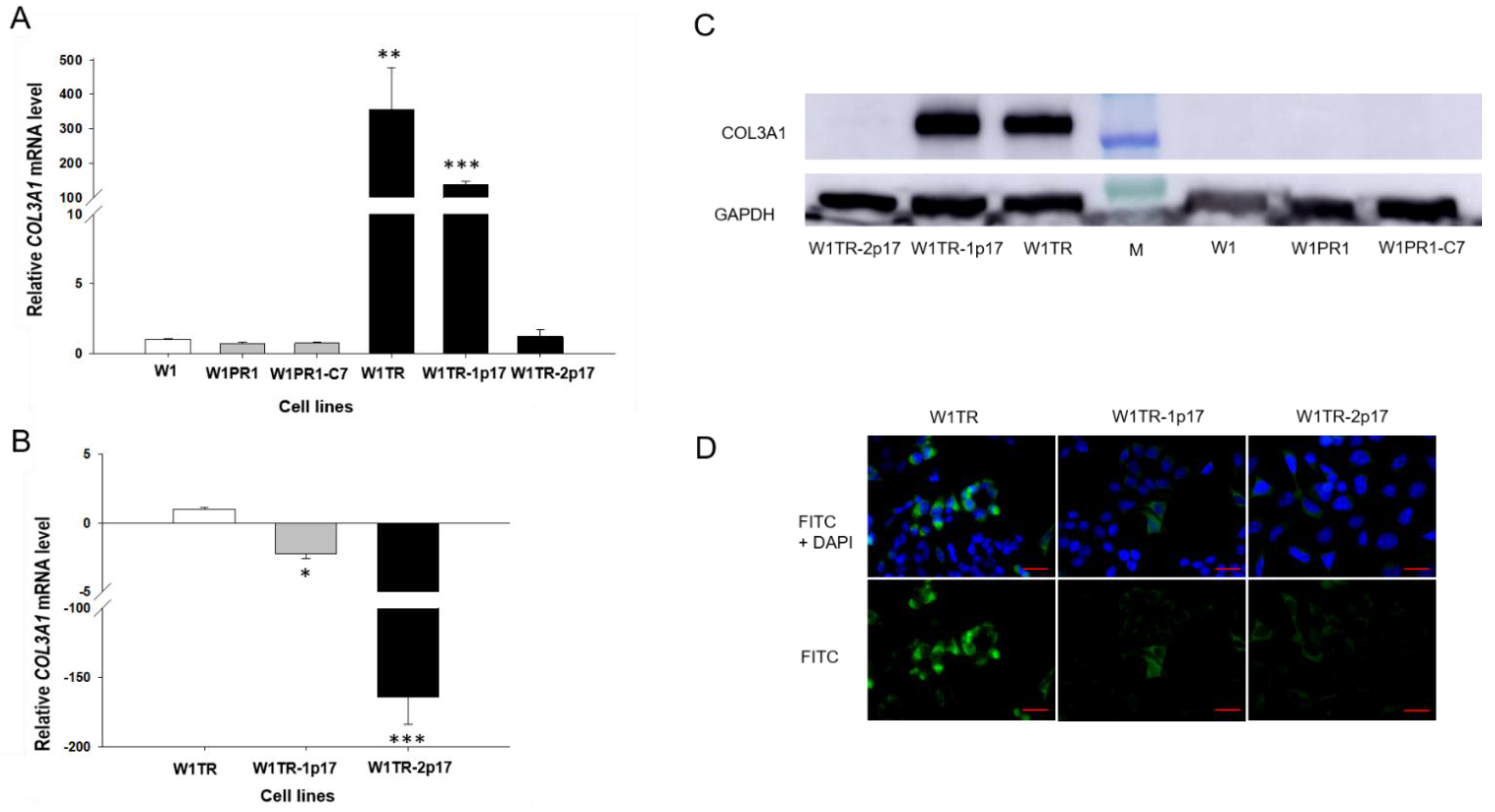 Ijms 23 03036 g005 Ijms 23 03036 g005