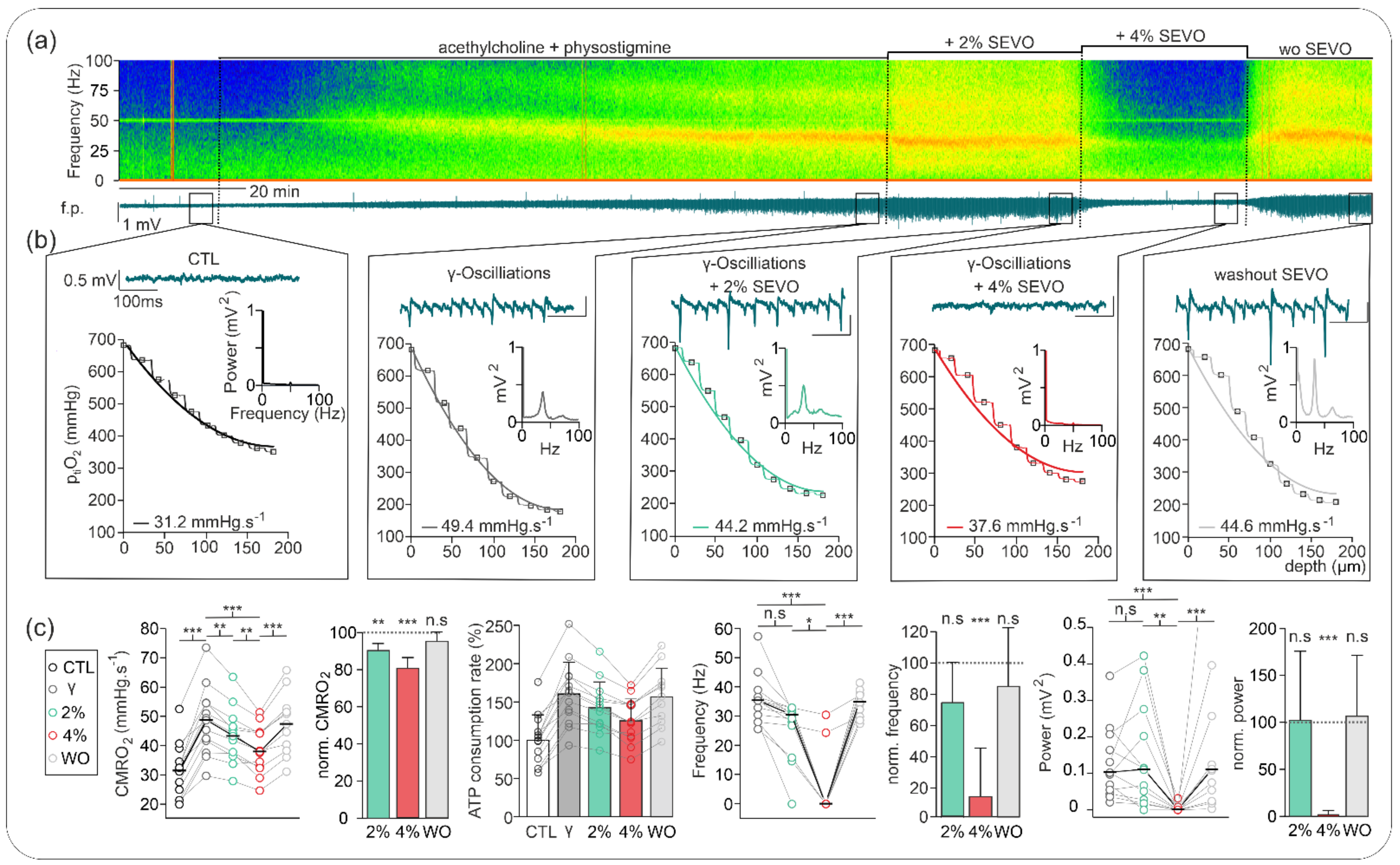 Ijms 23 03037 g002 Ijms 23 03037 g002
