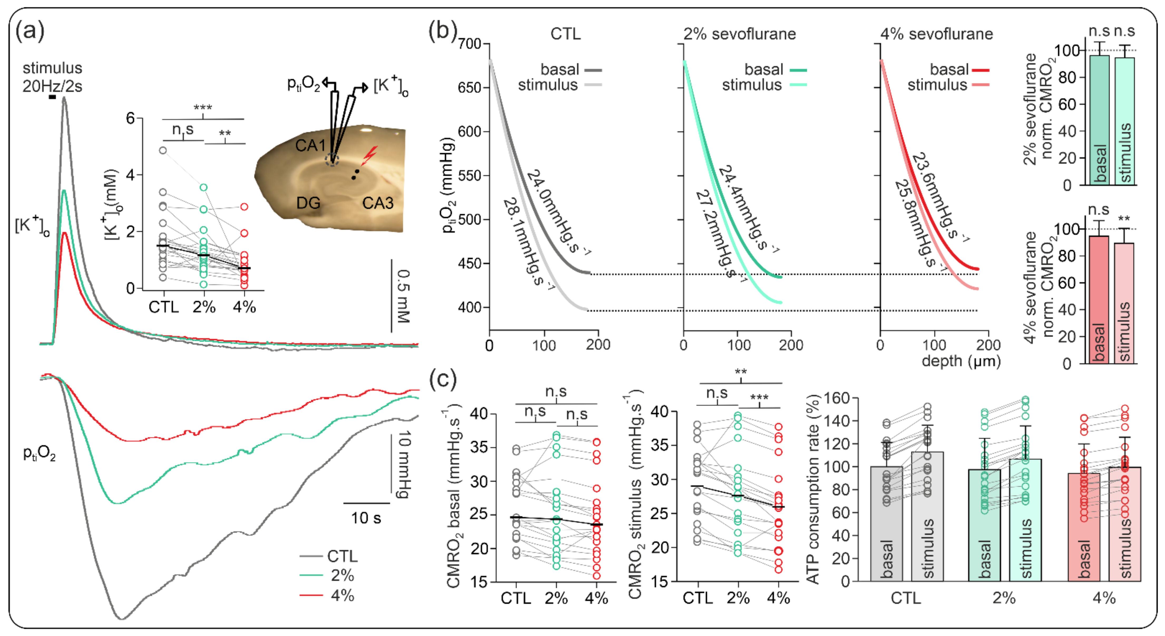 Ijms 23 03037 g003 Ijms 23 03037 g003
