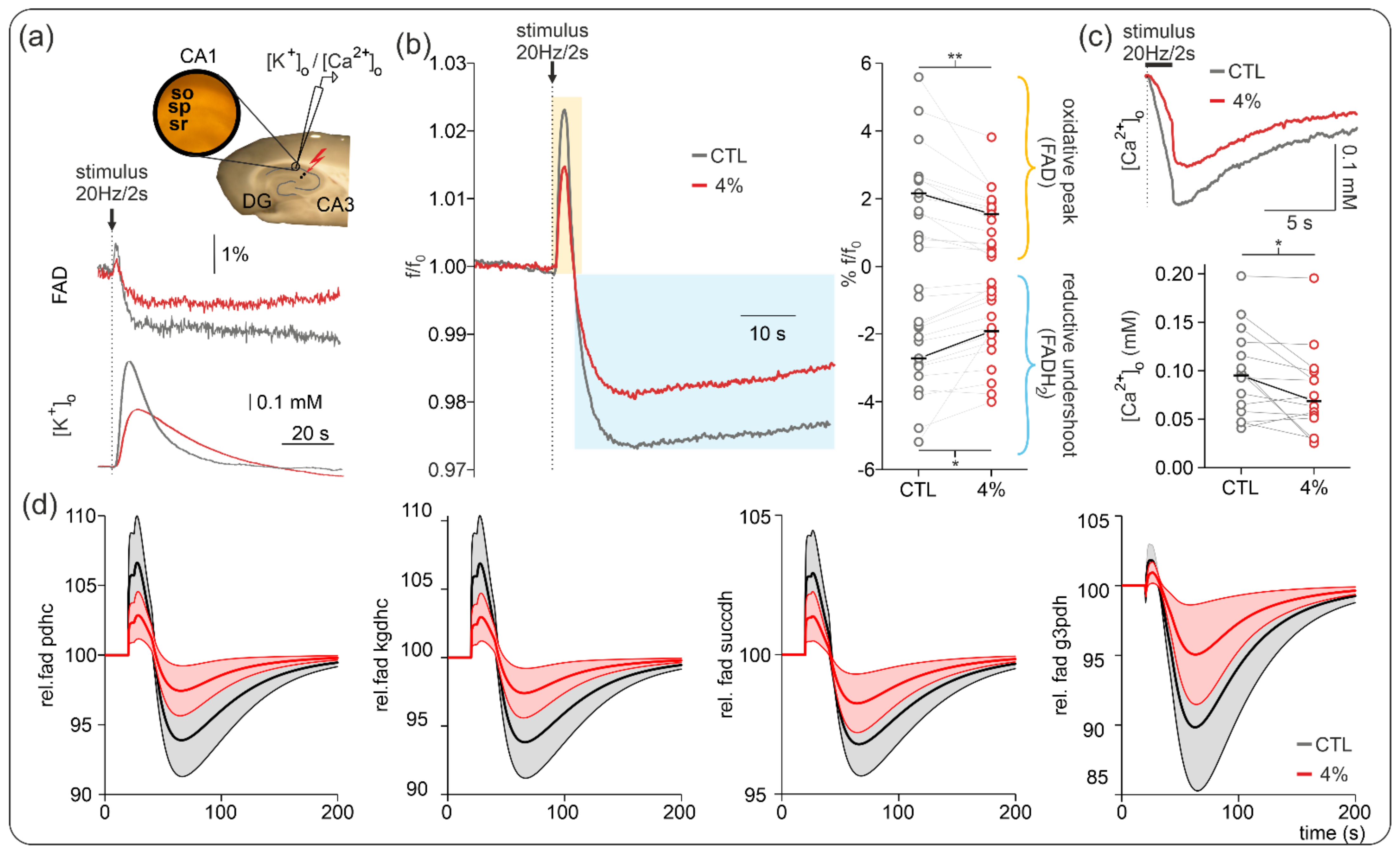 Ijms 23 03037 g004 Ijms 23 03037 g004