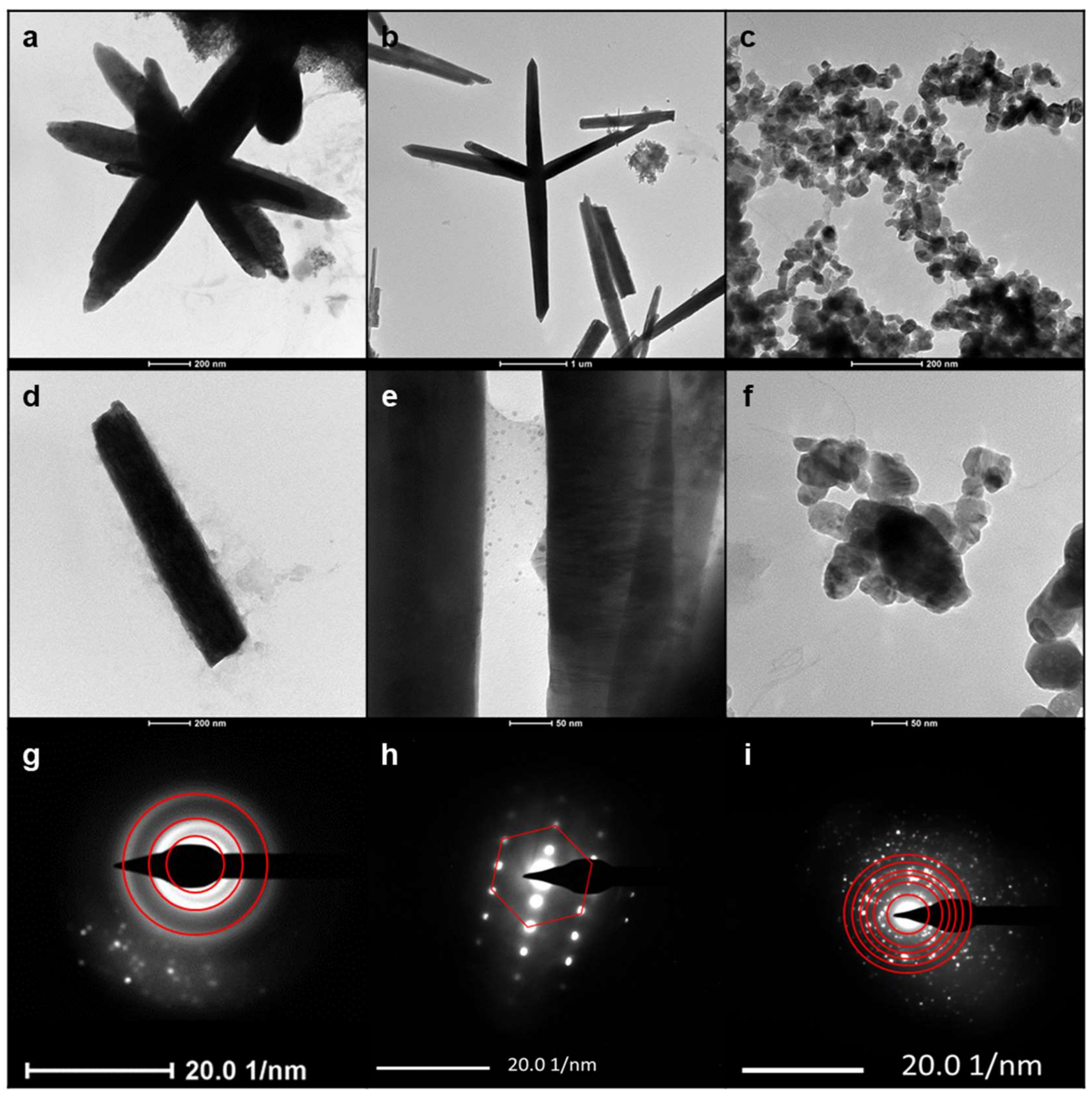 Ijms 23 03040 g002 550