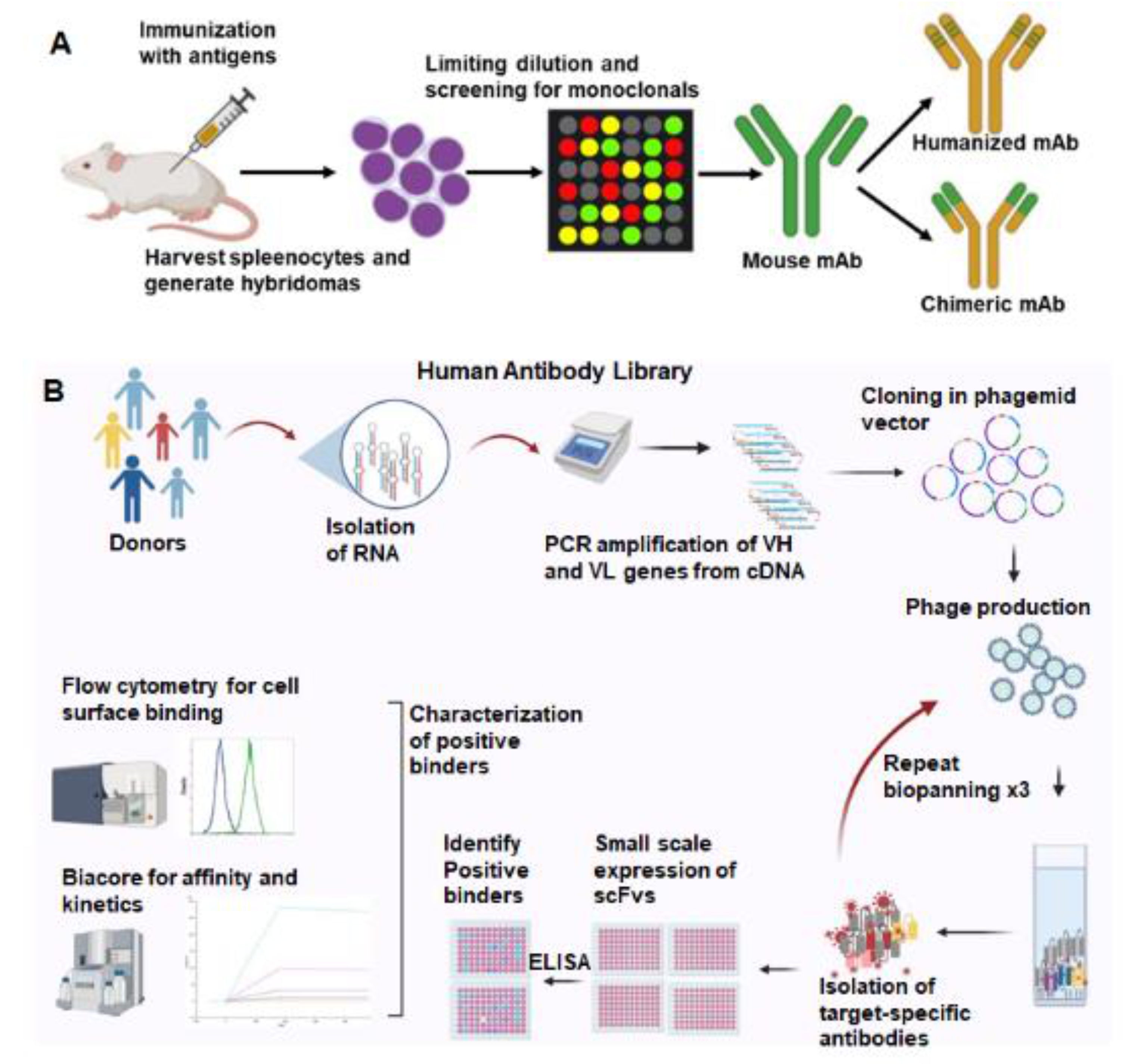 Ijms 23 03041 g001 550