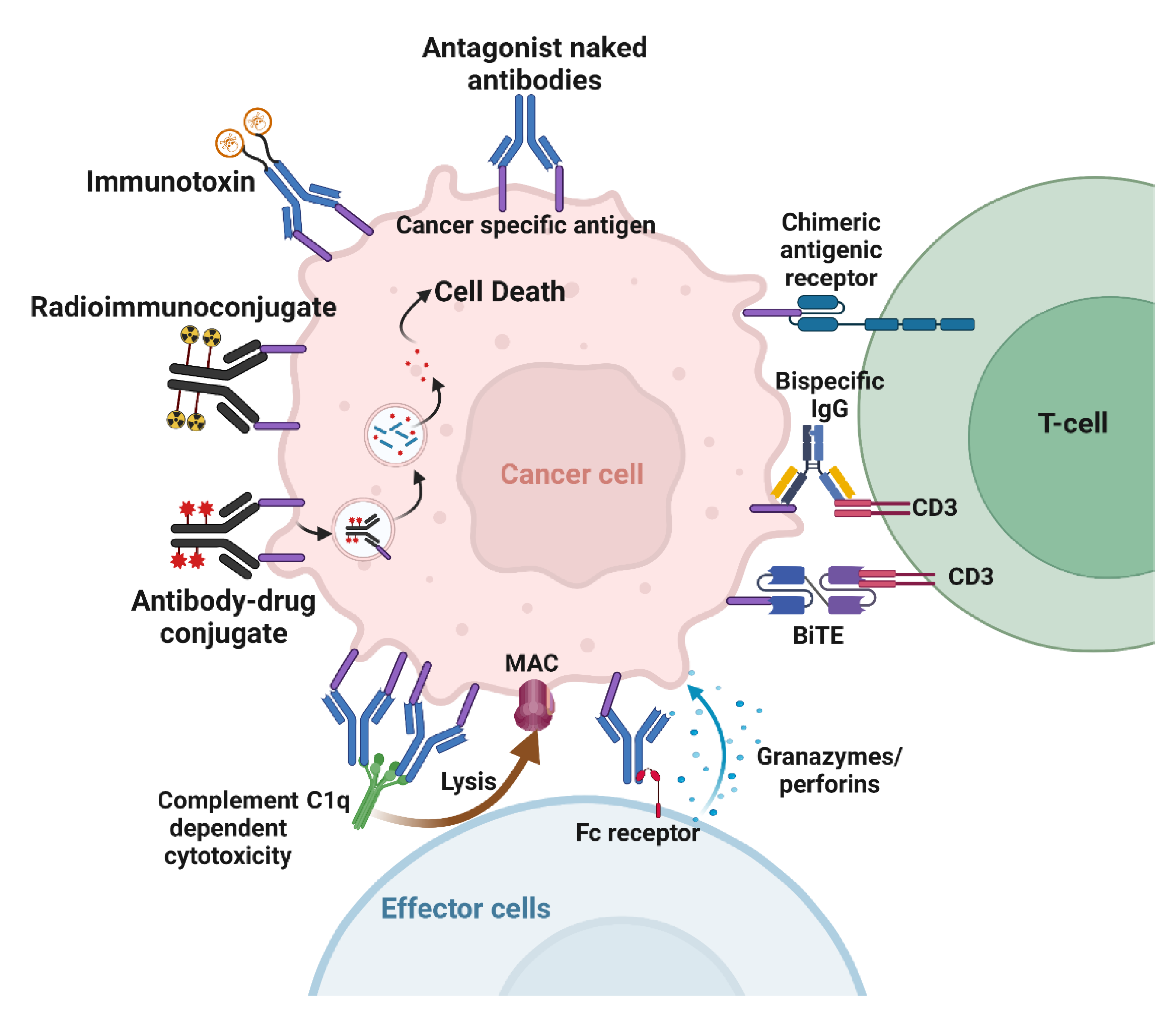 Ijms 23 03041 g003 550