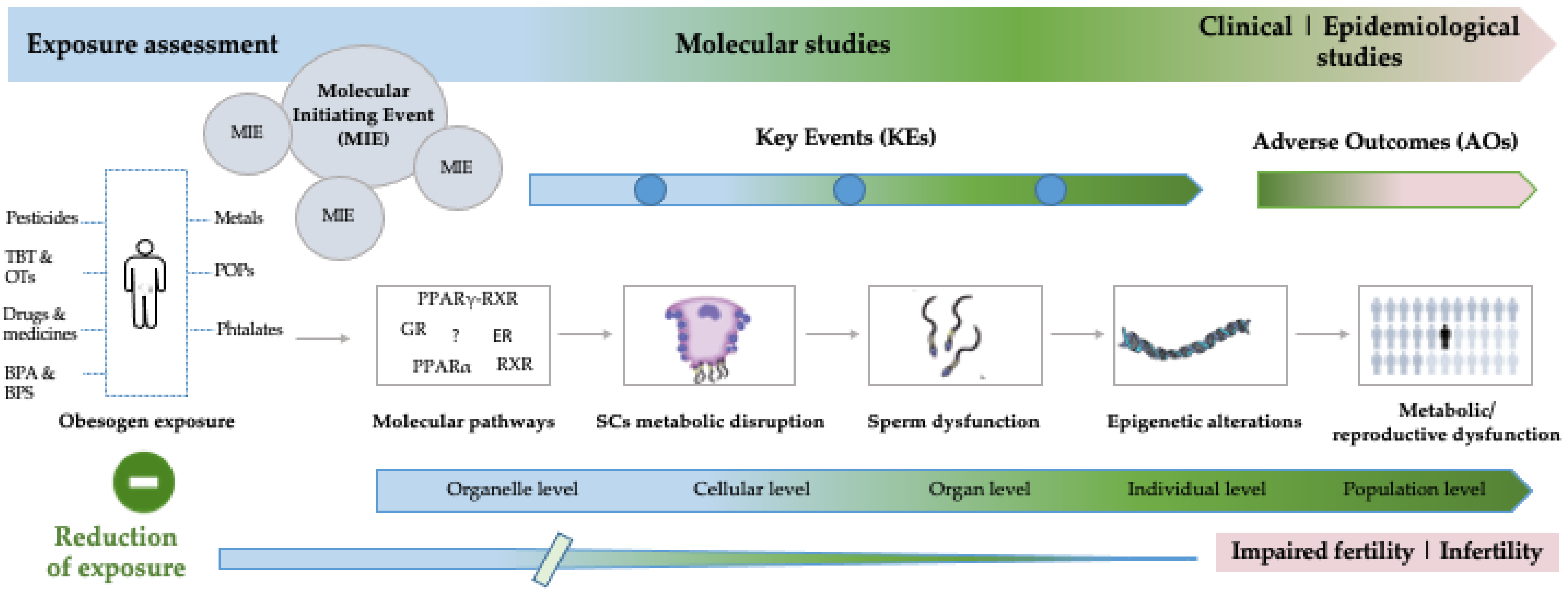 Ijms 23 03046 g001 Ijms 23 03046 g001