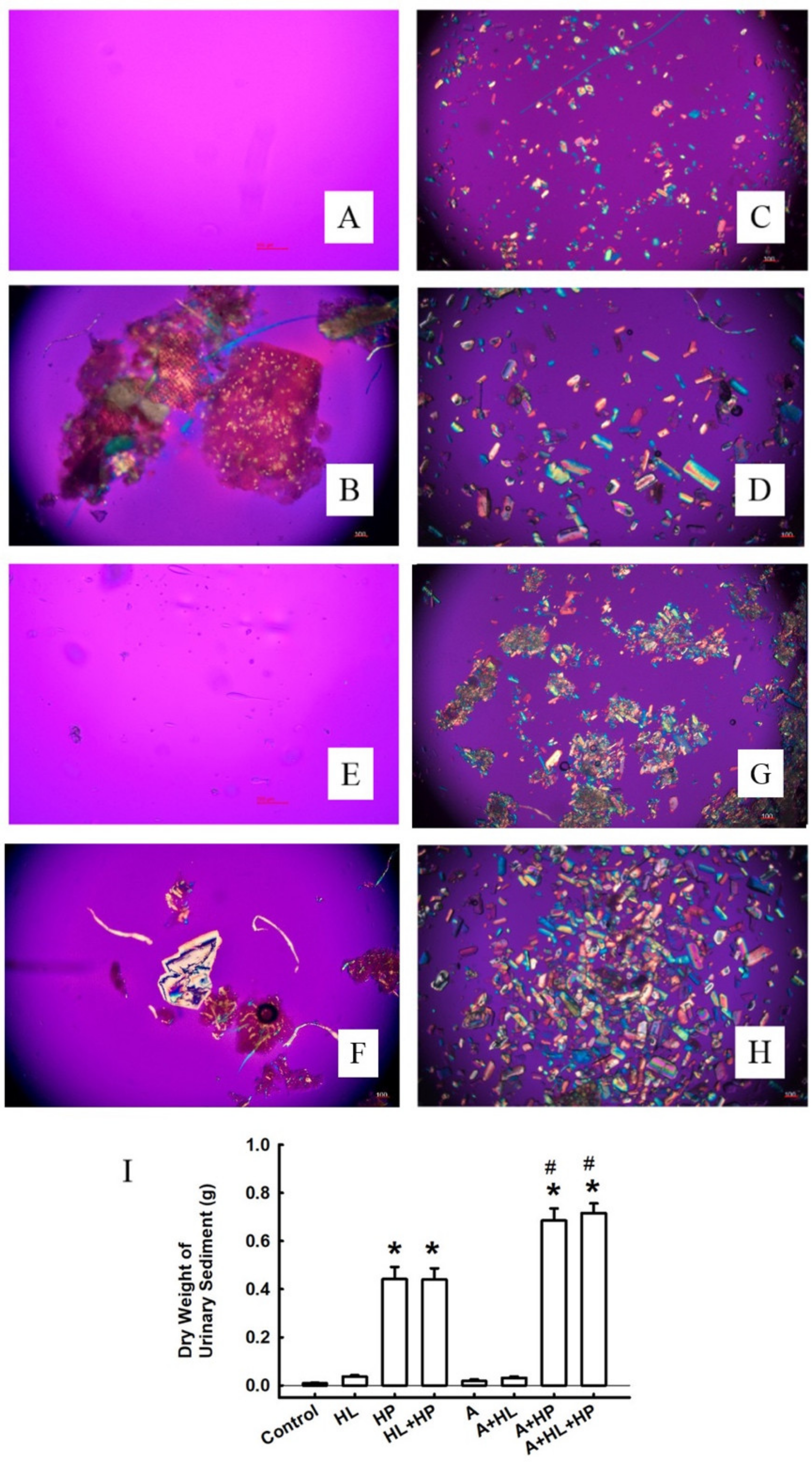 Ijms 23 03048 g002 Ijms 23 03048 g002