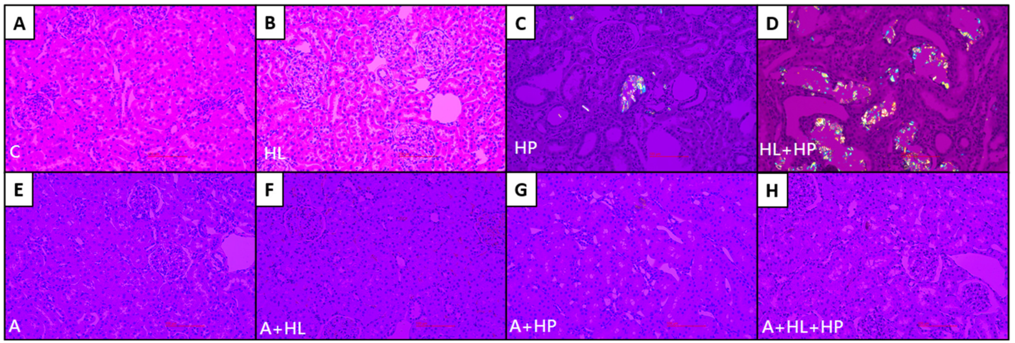 Ijms 23 03048 g003 Ijms 23 03048 g003