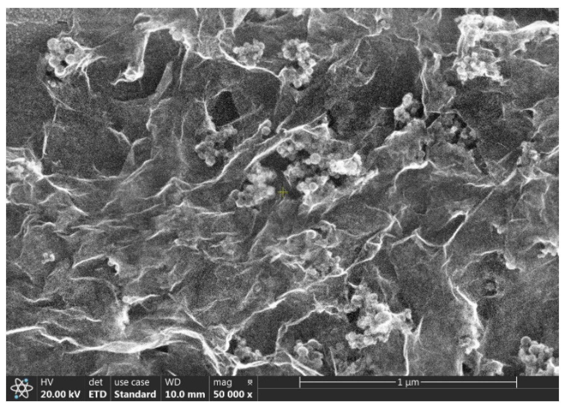 Ijms 23 03056 g003 550