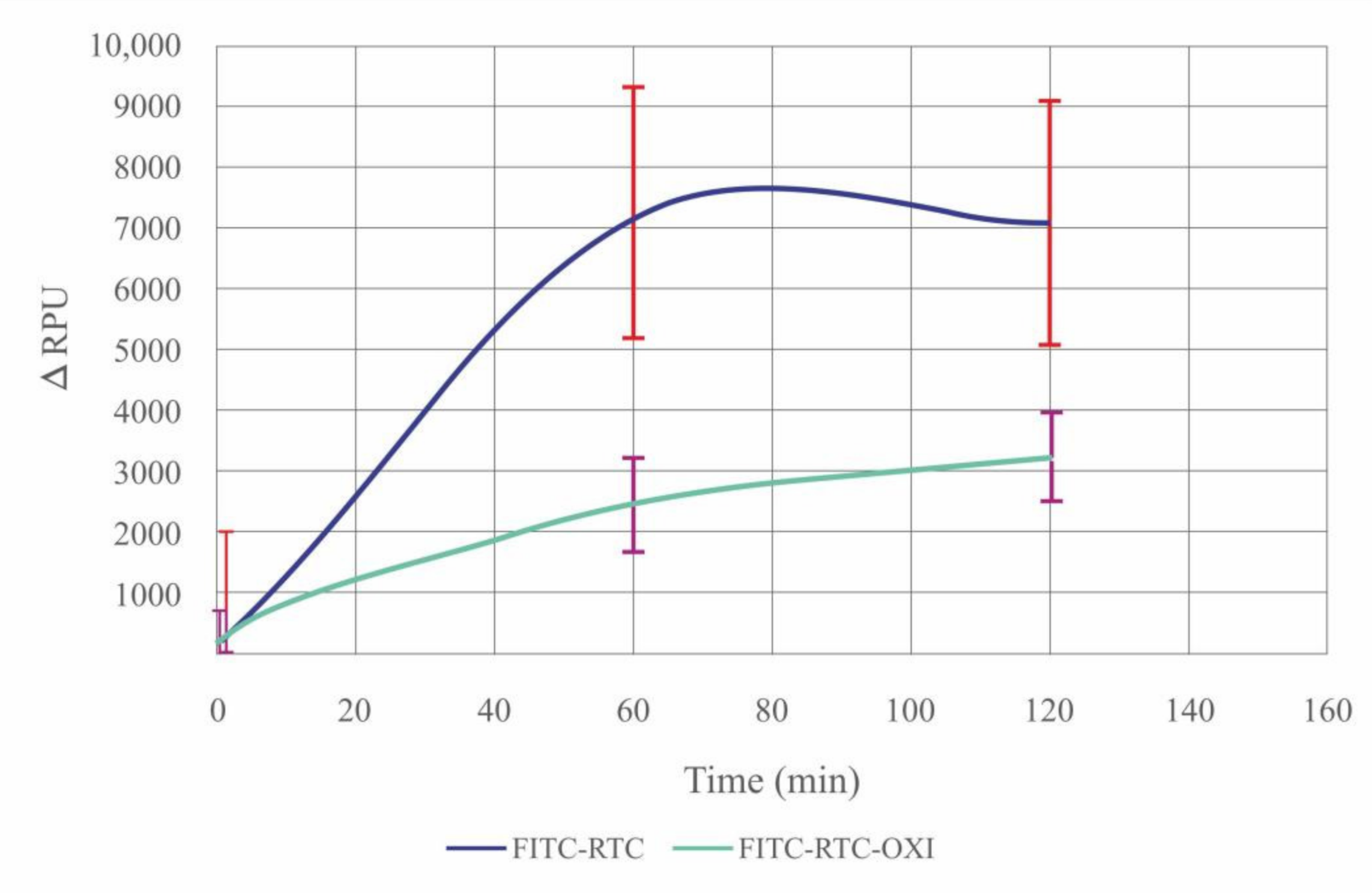 Ijms 23 03058 g006 550