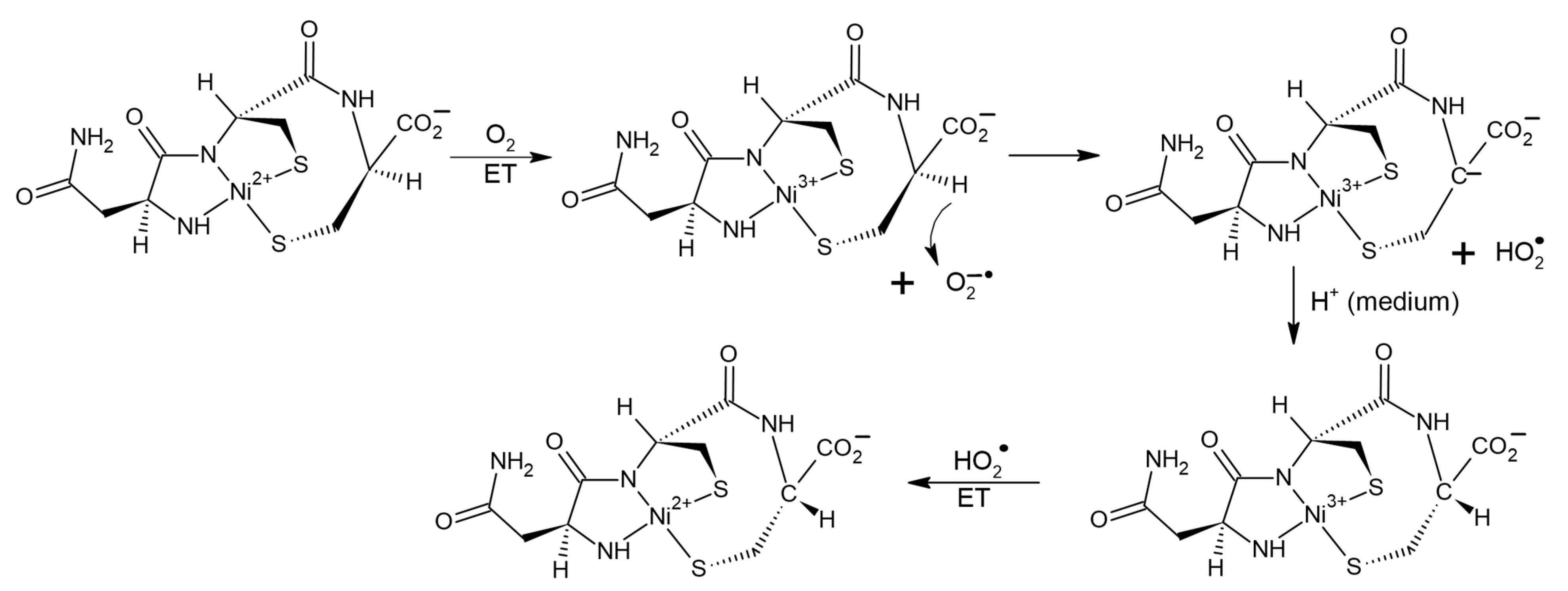 Ijms 23 03060 g009 550