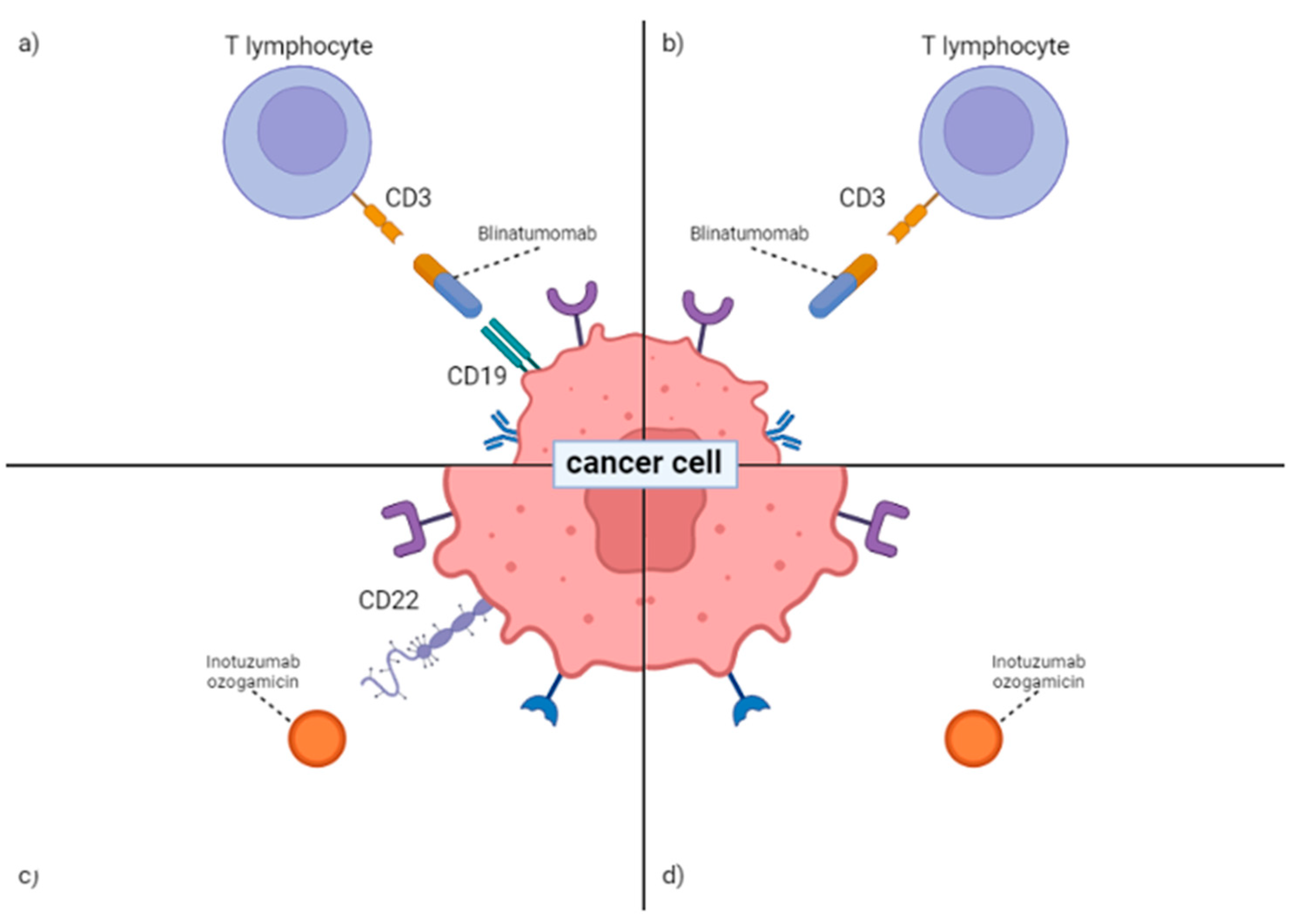 Ijms free full text resistance mechanisms in pediatric b cell acute
