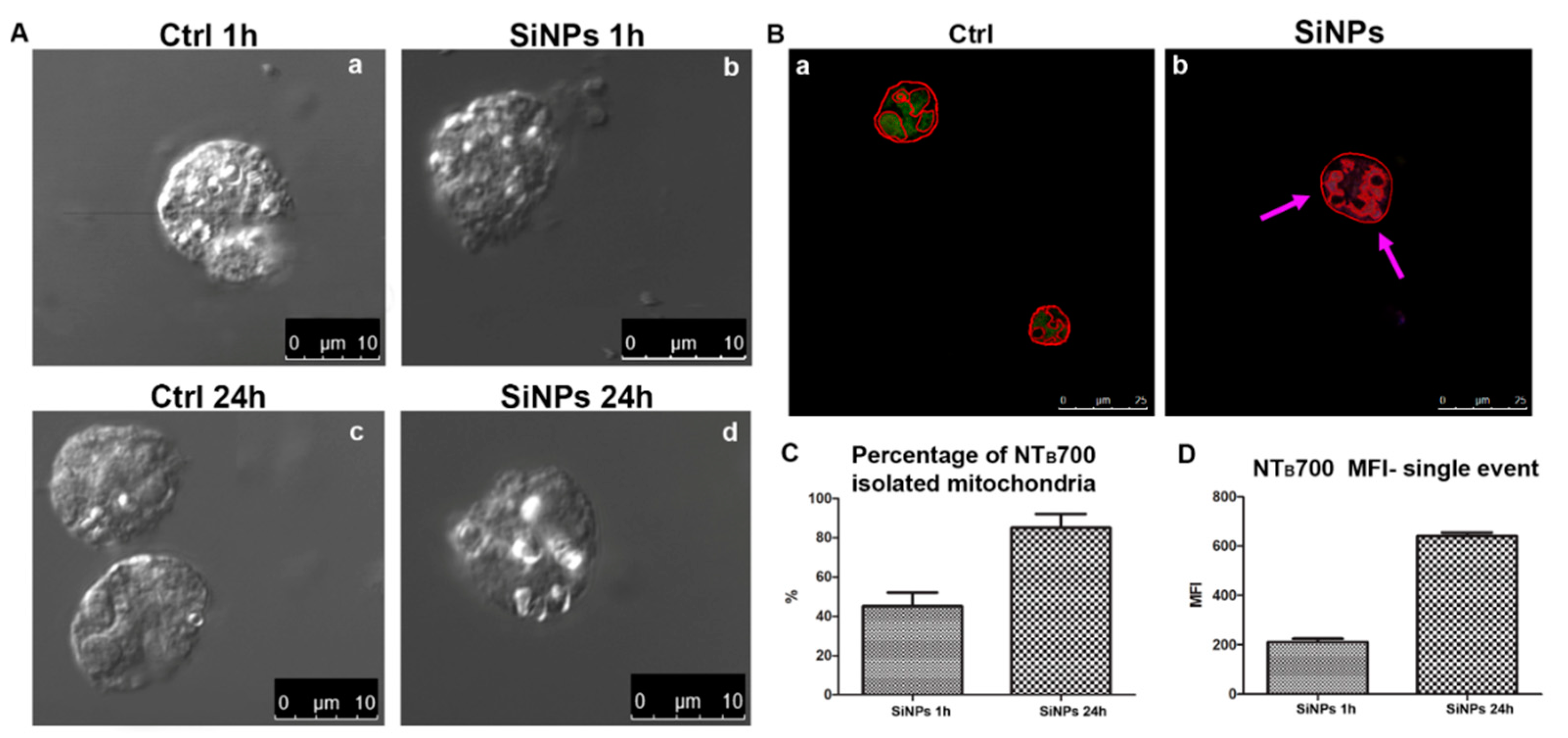 Ijms 23 03069 g001 550