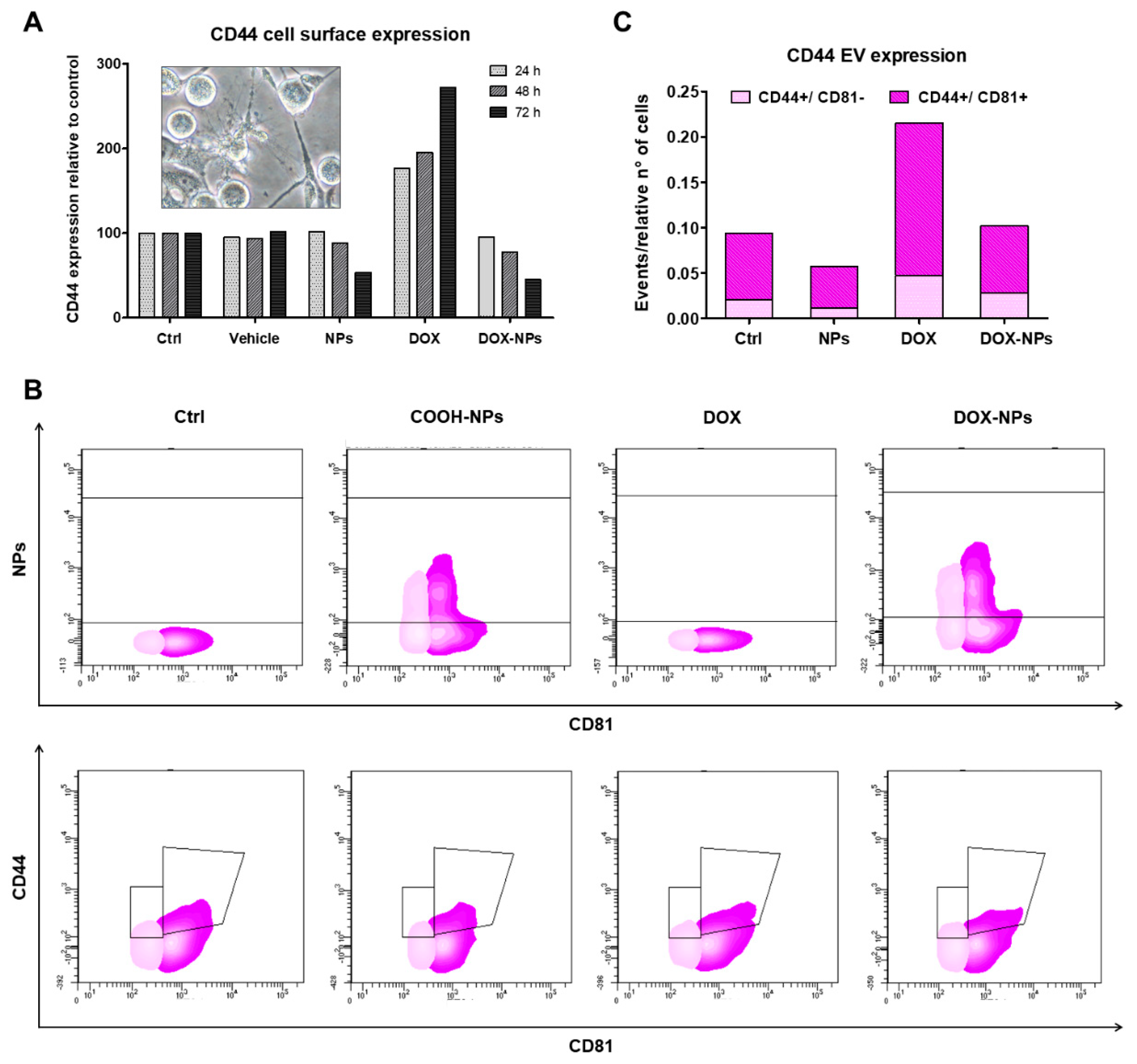 Ijms 23 03069 g009 550