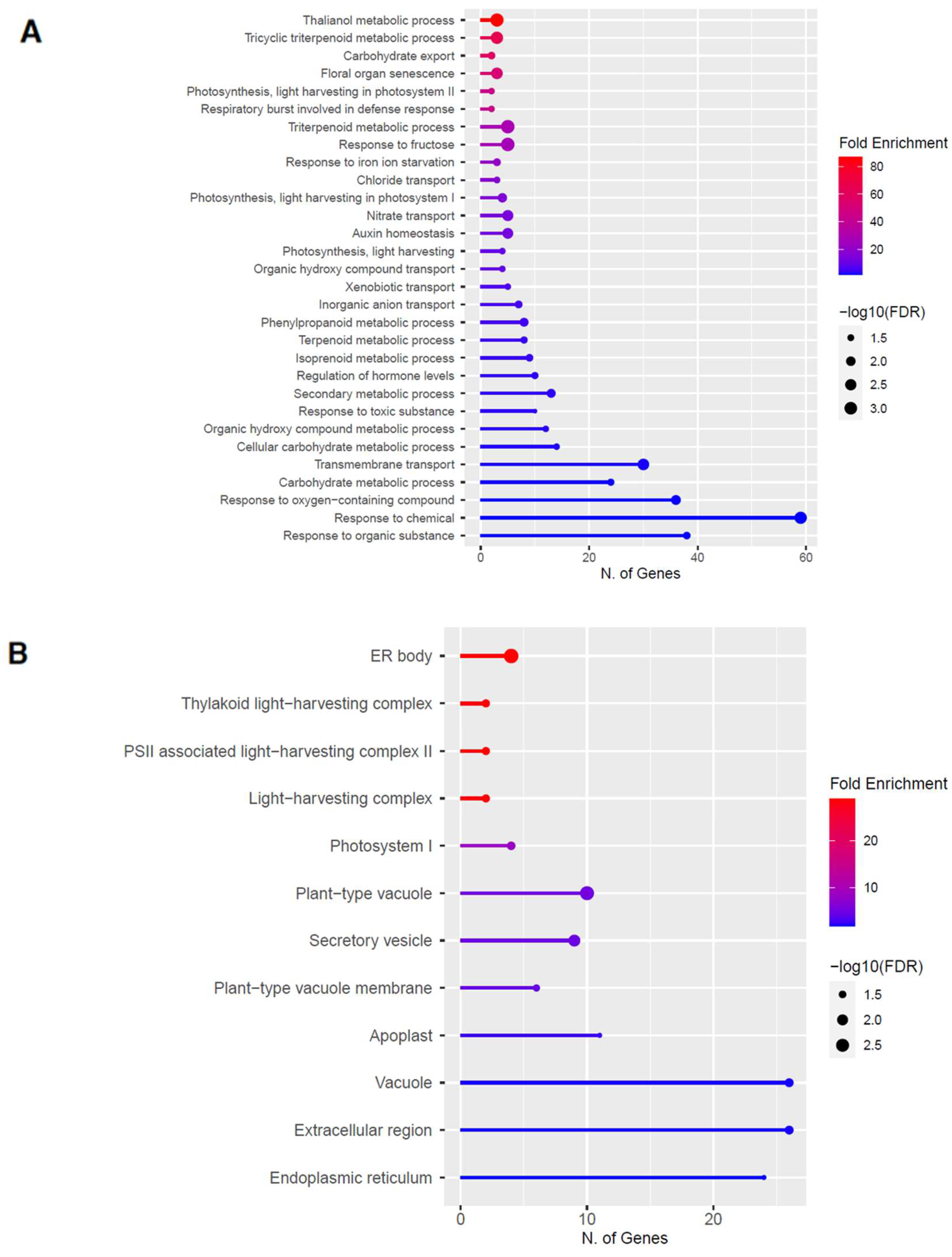 Ijms 23 03070 g006a 550