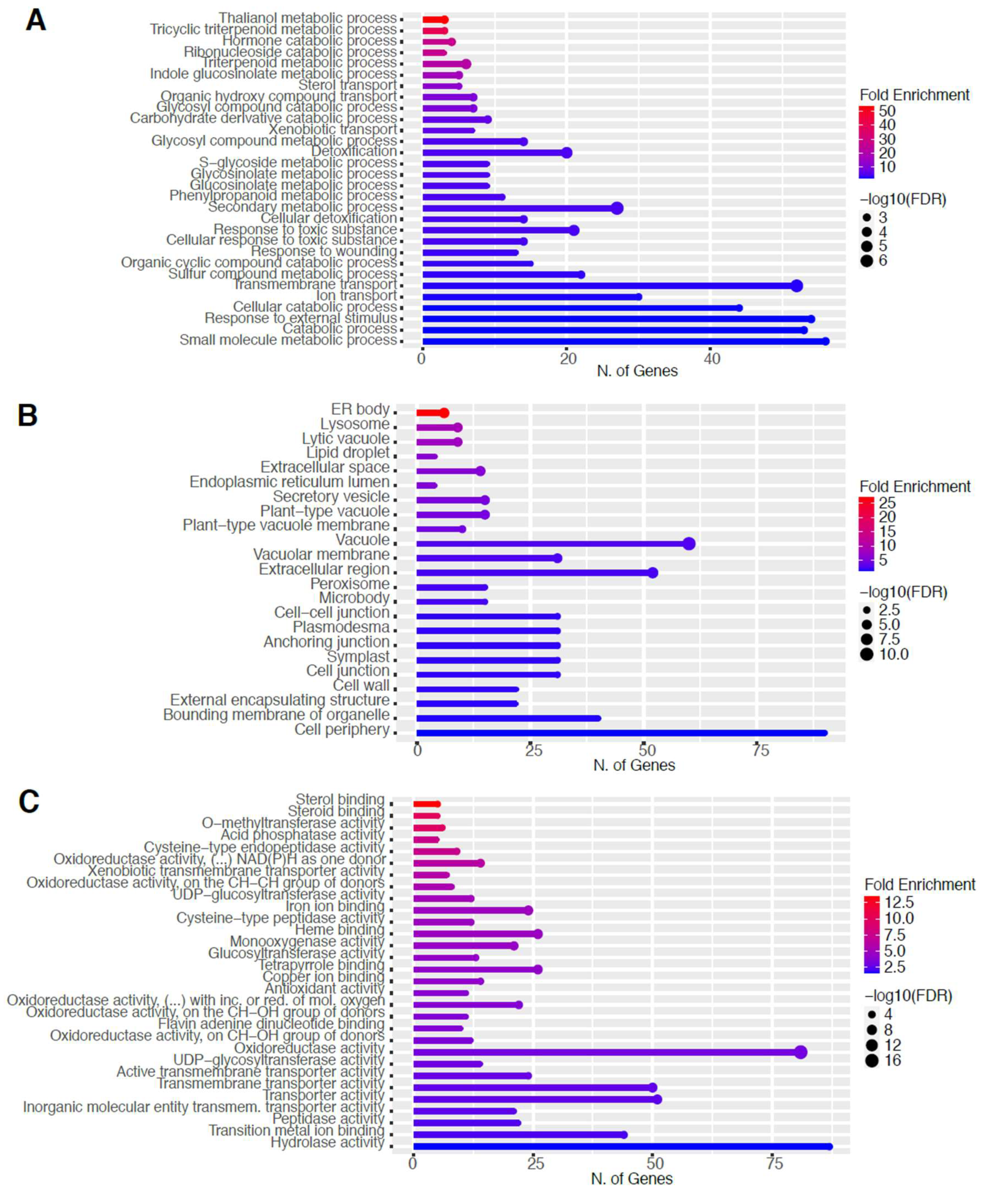 Ijms 23 03070 g008a 550