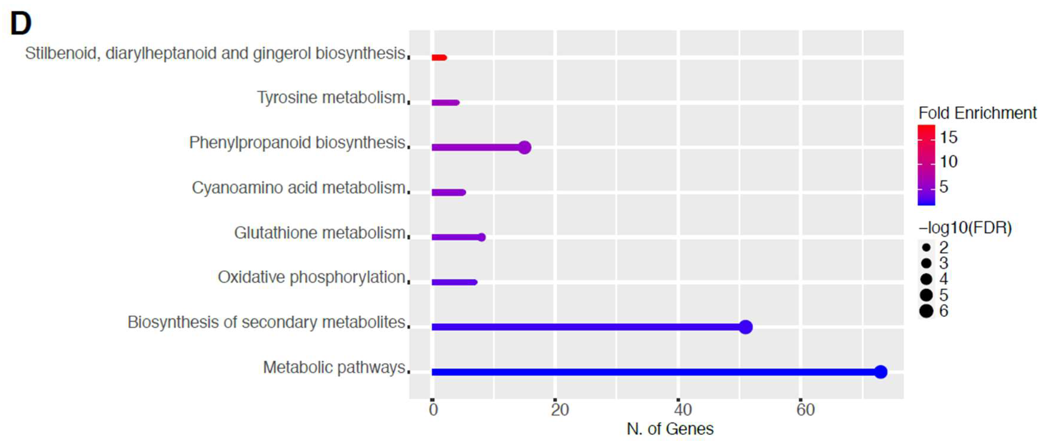 Ijms 23 03070 g008b 550
