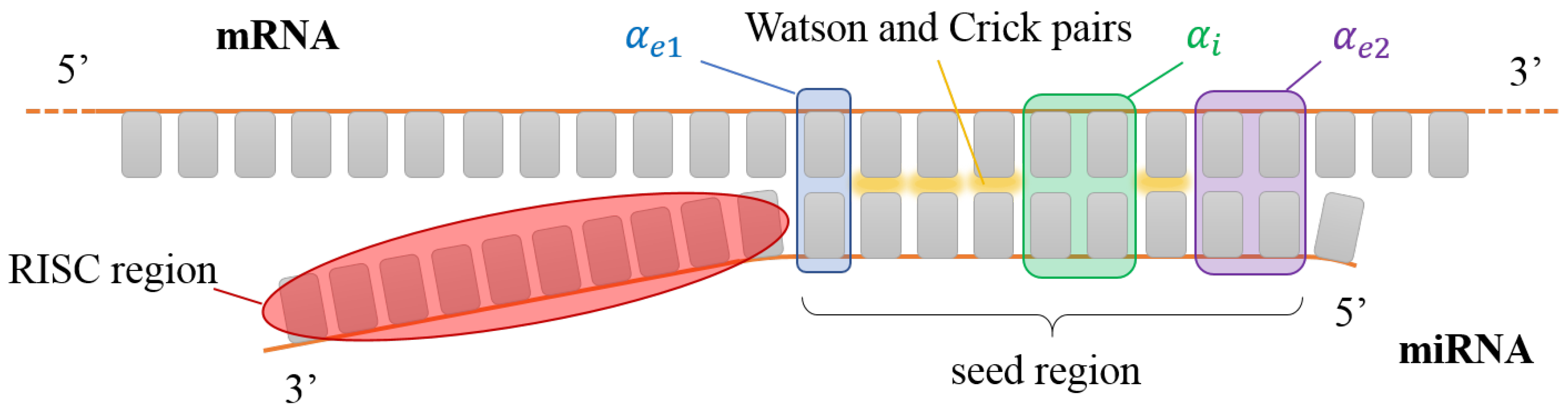 Ijms 23 03072 g002 550