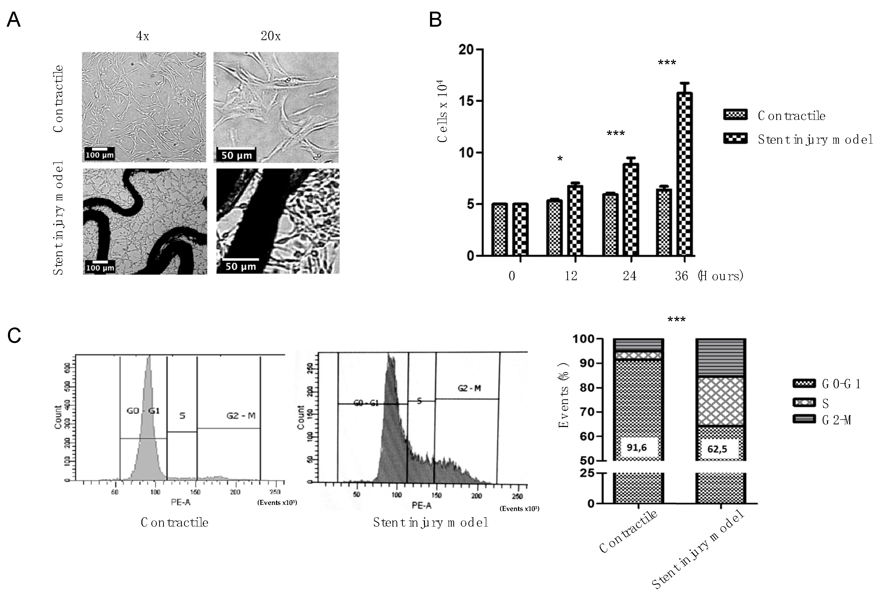 Ijms 23 03074 g001 Ijms 23 03074 g001