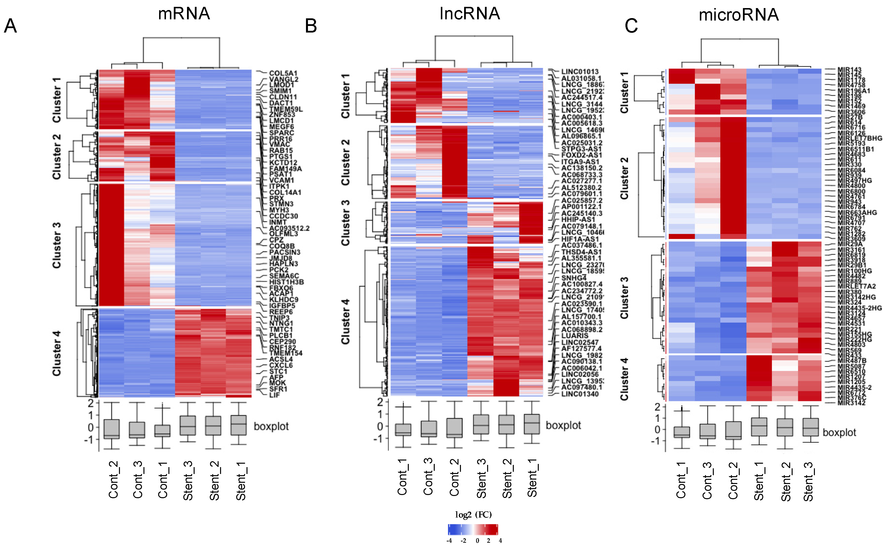 Ijms 23 03074 g004 Ijms 23 03074 g004