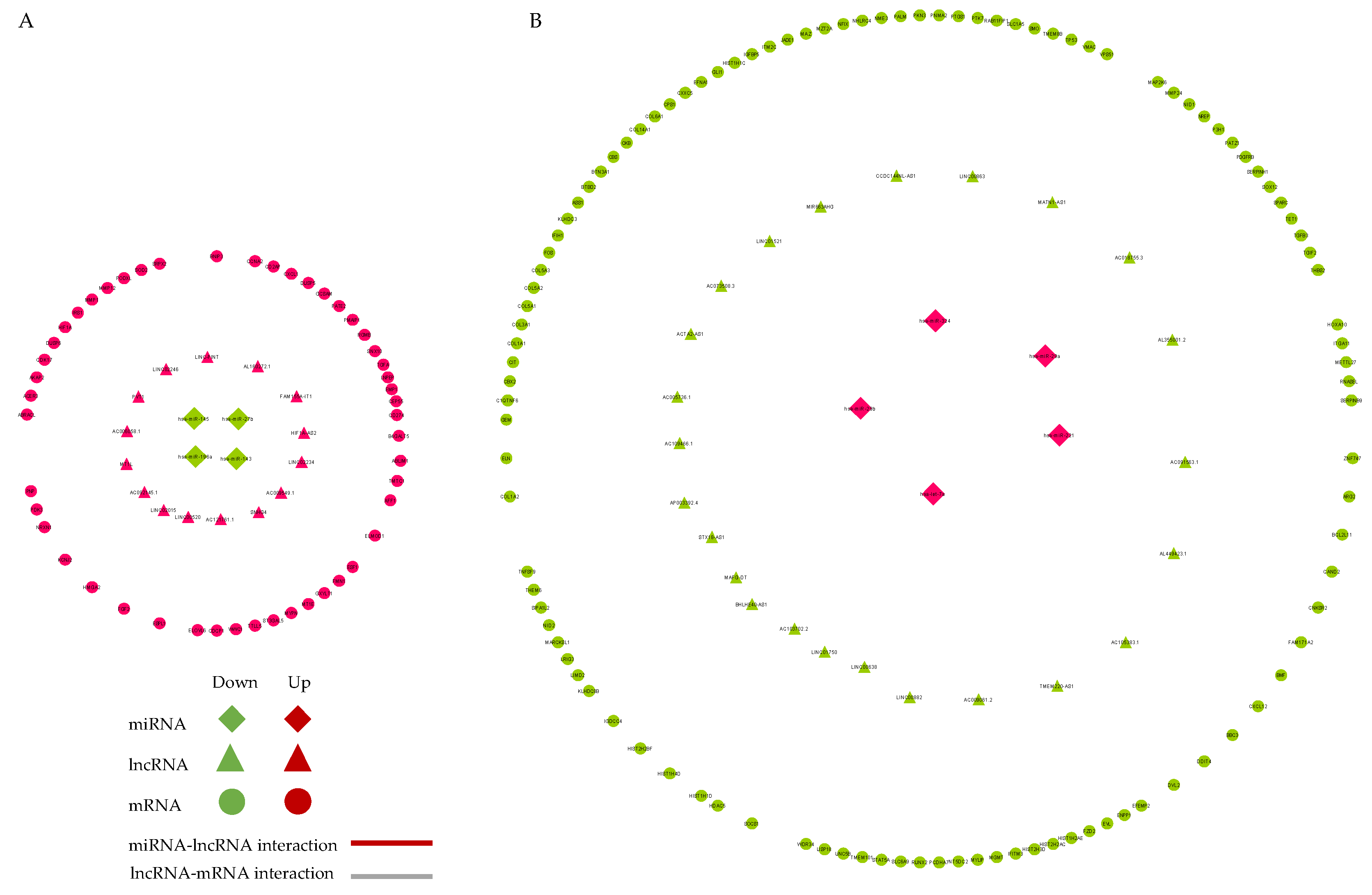 Ijms 23 03074 g006 Ijms 23 03074 g006