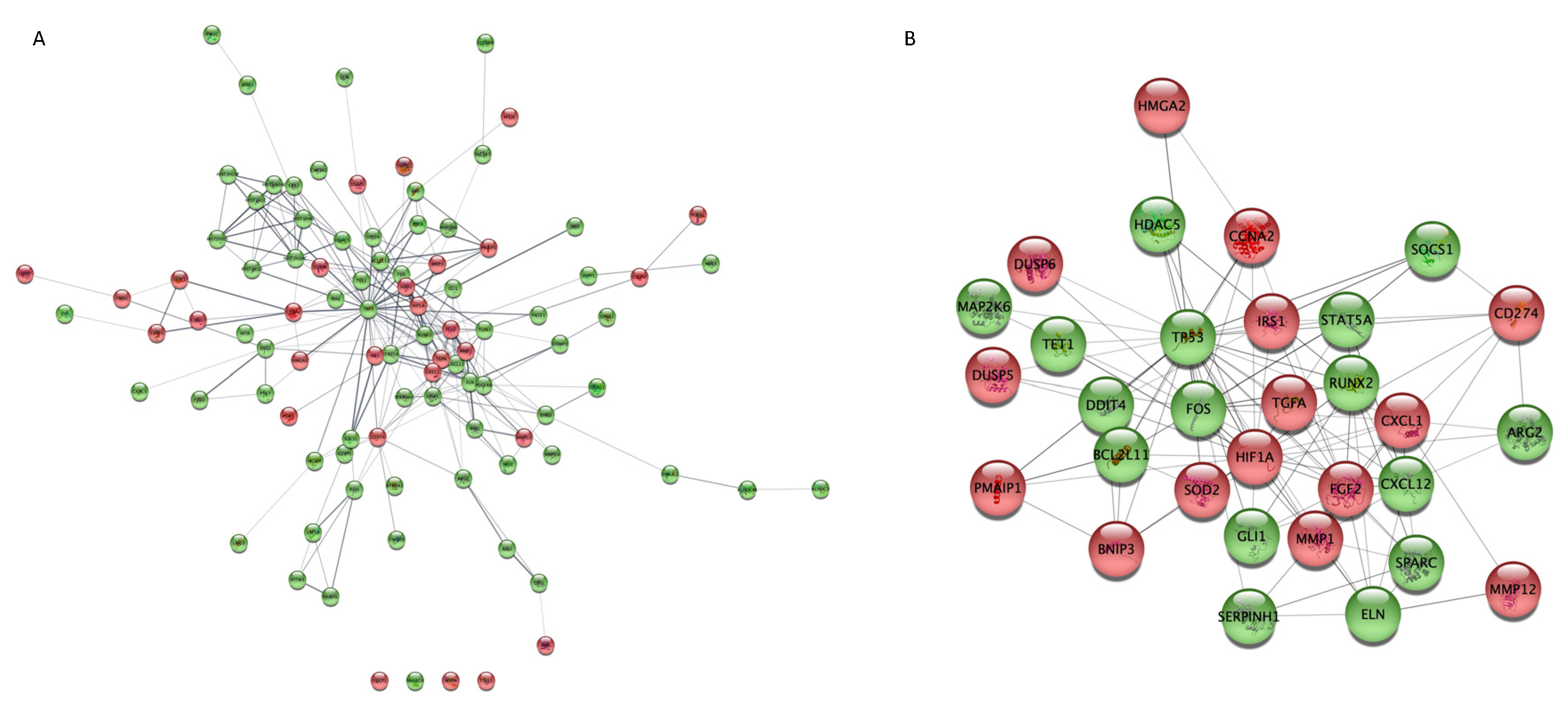 Ijms 23 03074 g007 Ijms 23 03074 g007