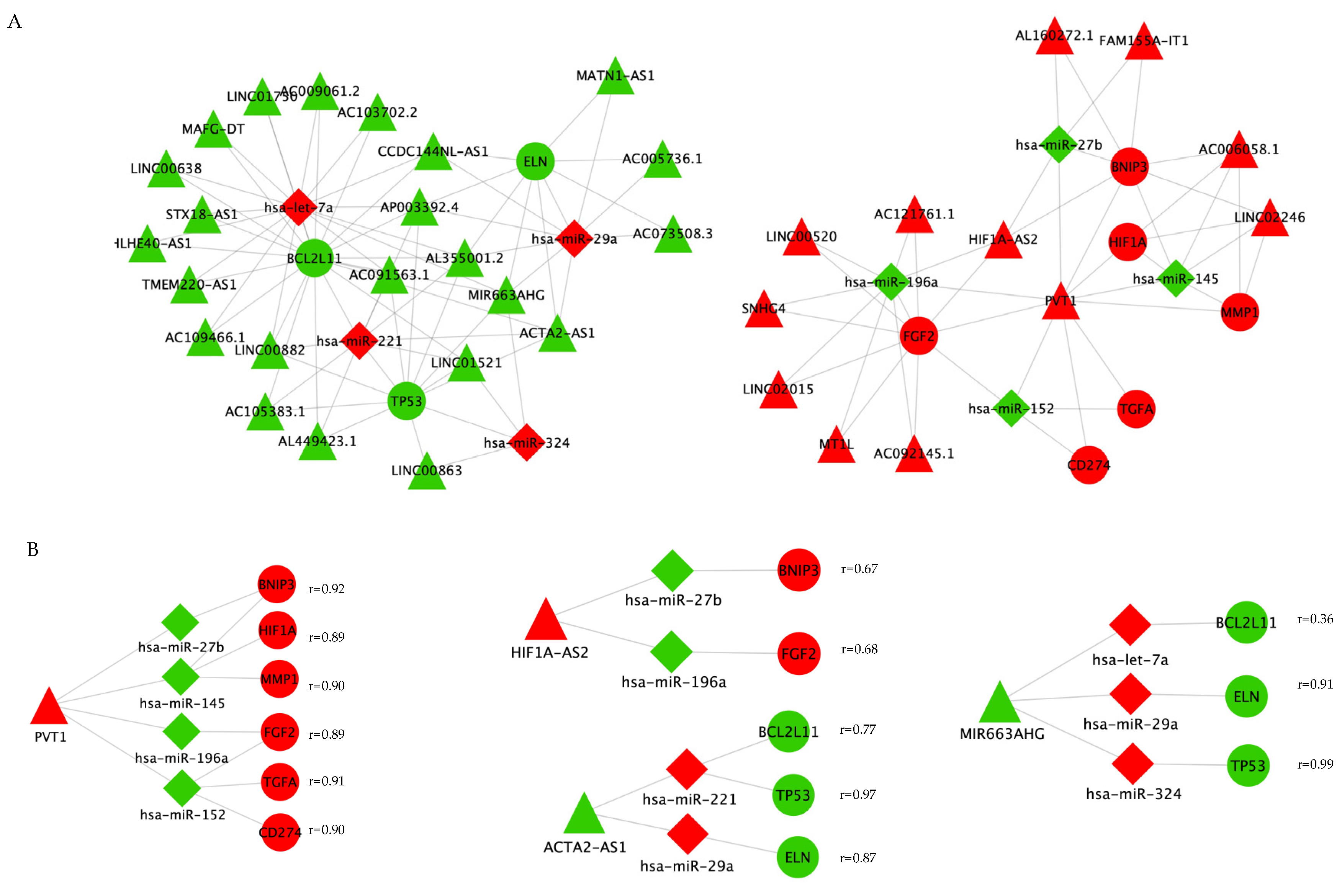 Ijms 23 03074 g008 Ijms 23 03074 g008