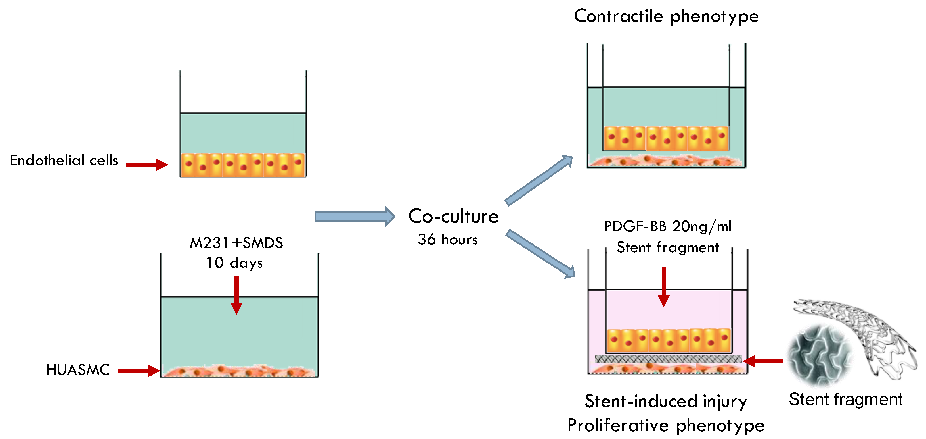 Ijms 23 03074 g009 Ijms 23 03074 g009