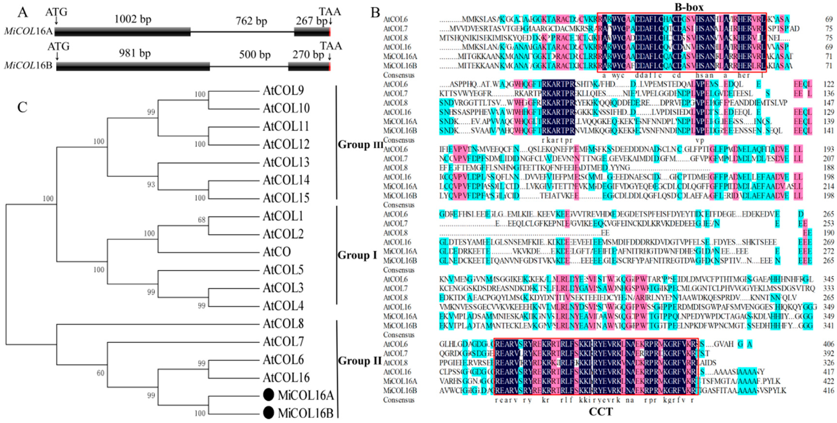 Ijms 23 03075 g001 Ijms 23 03075 g001