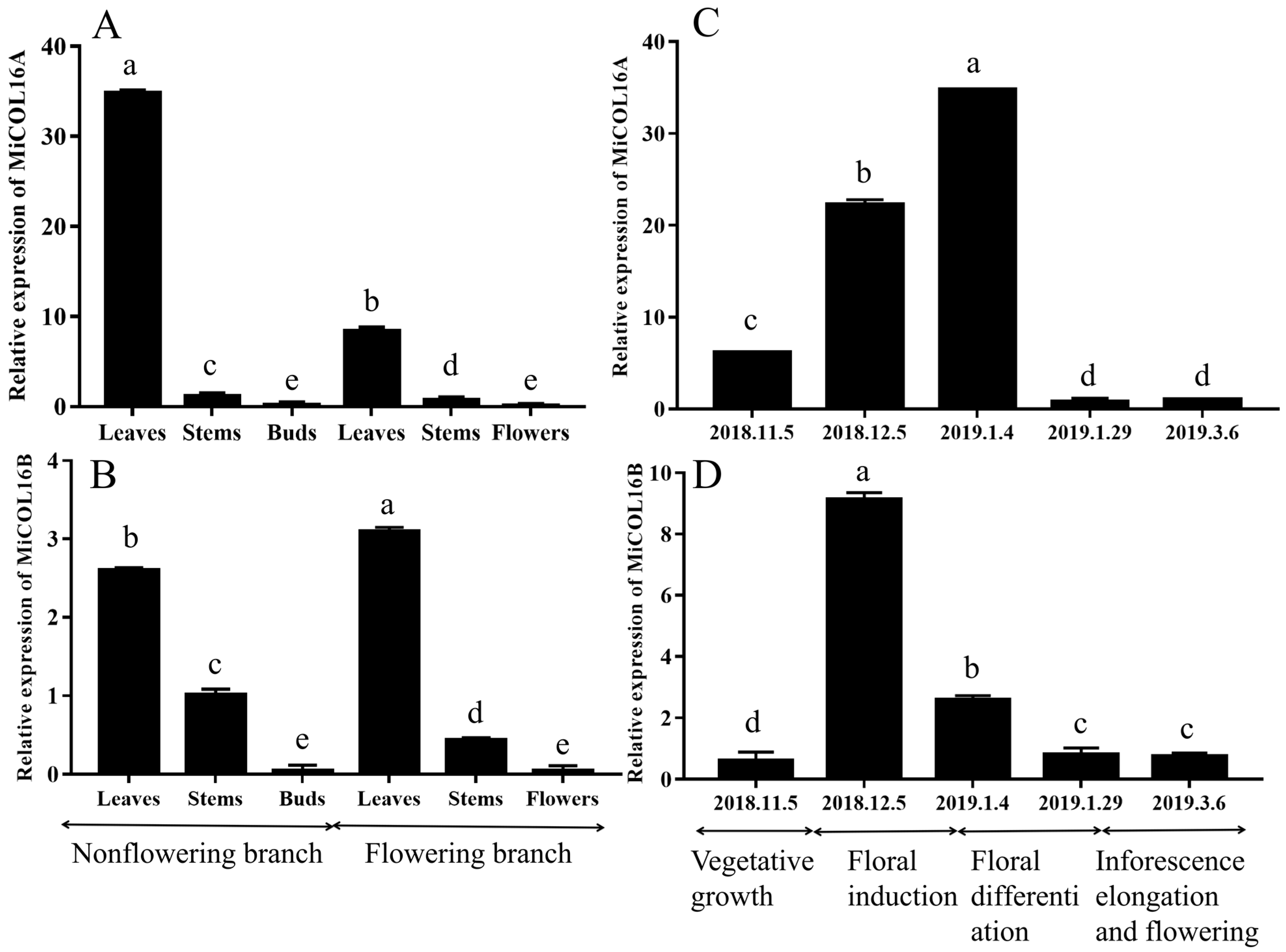 Ijms 23 03075 g002 Ijms 23 03075 g002