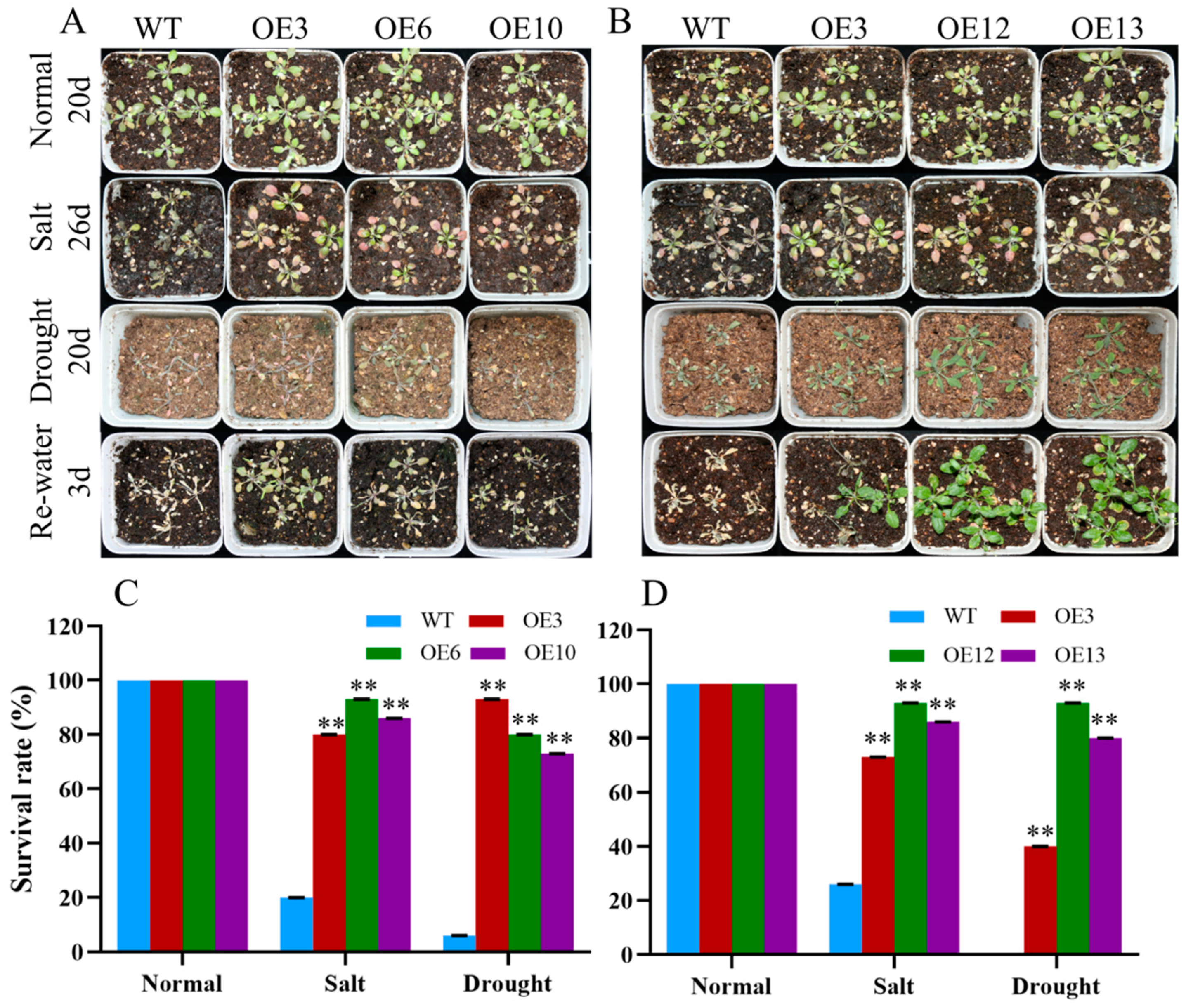 Ijms 23 03075 g010 Ijms 23 03075 g010