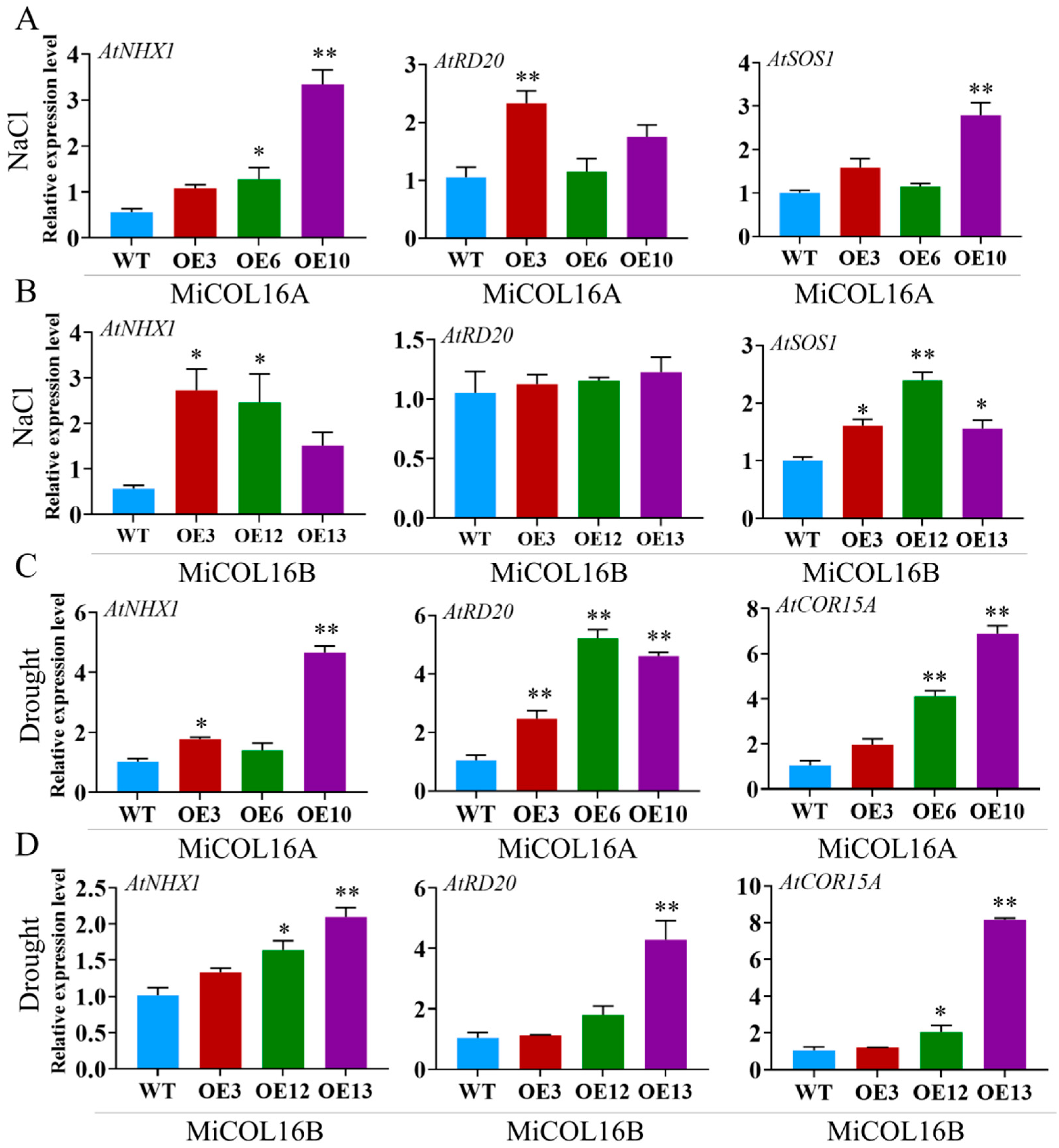 Ijms 23 03075 g011 Ijms 23 03075 g011