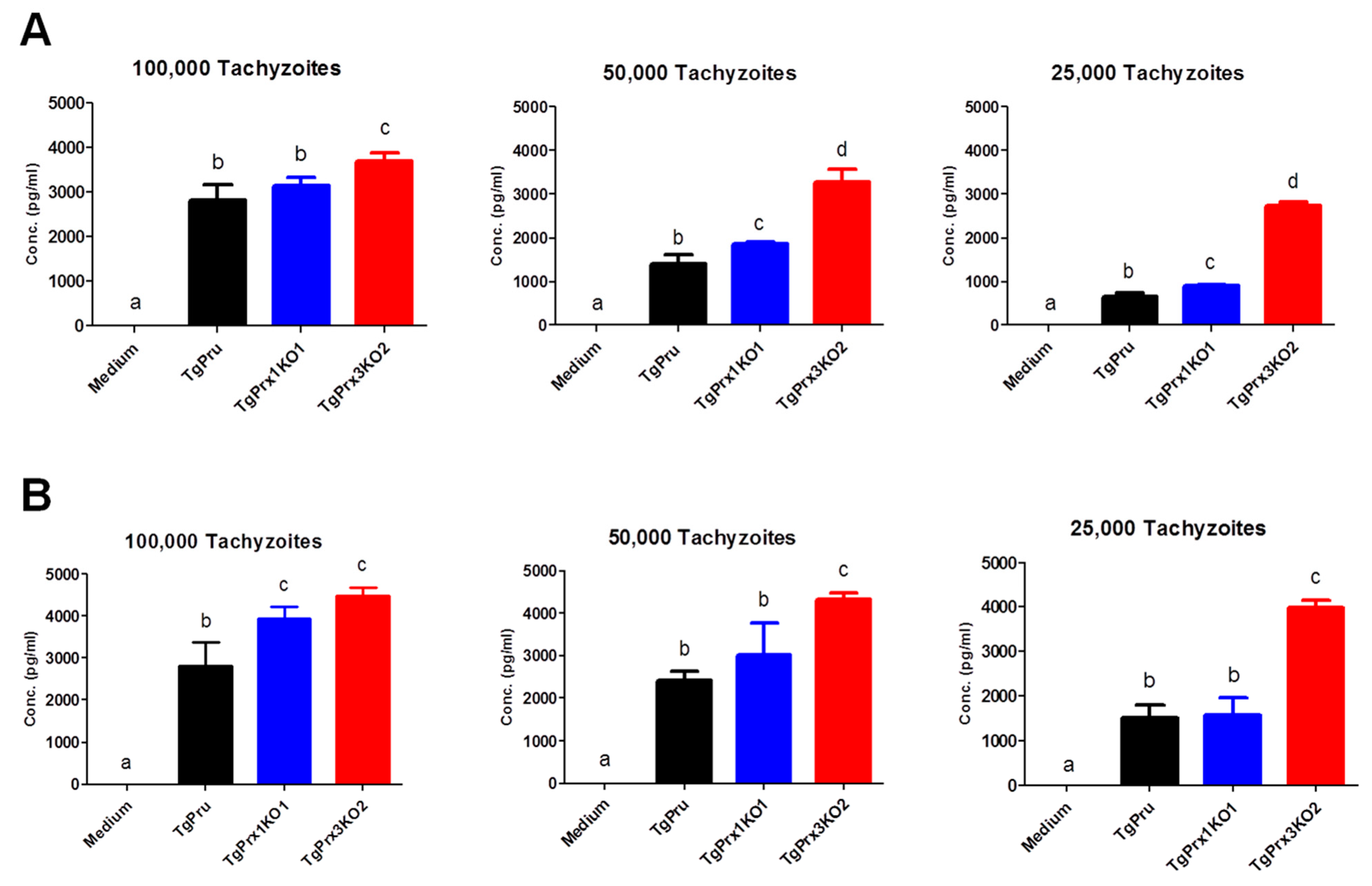 Ijms 23 03076 g006 550