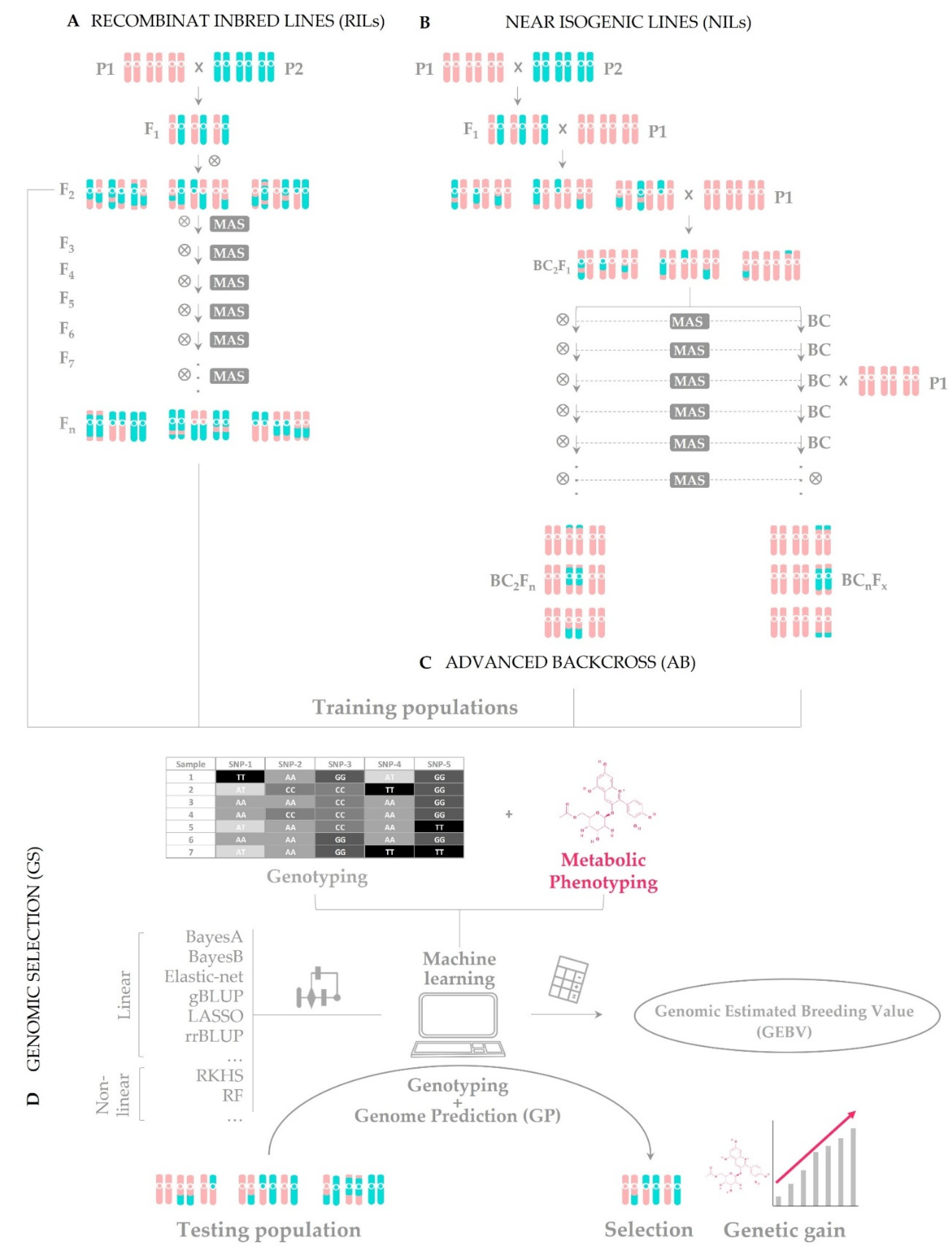 Jia Ling Pik - High Throughput Genotyping Lab Research Associate - Bayer