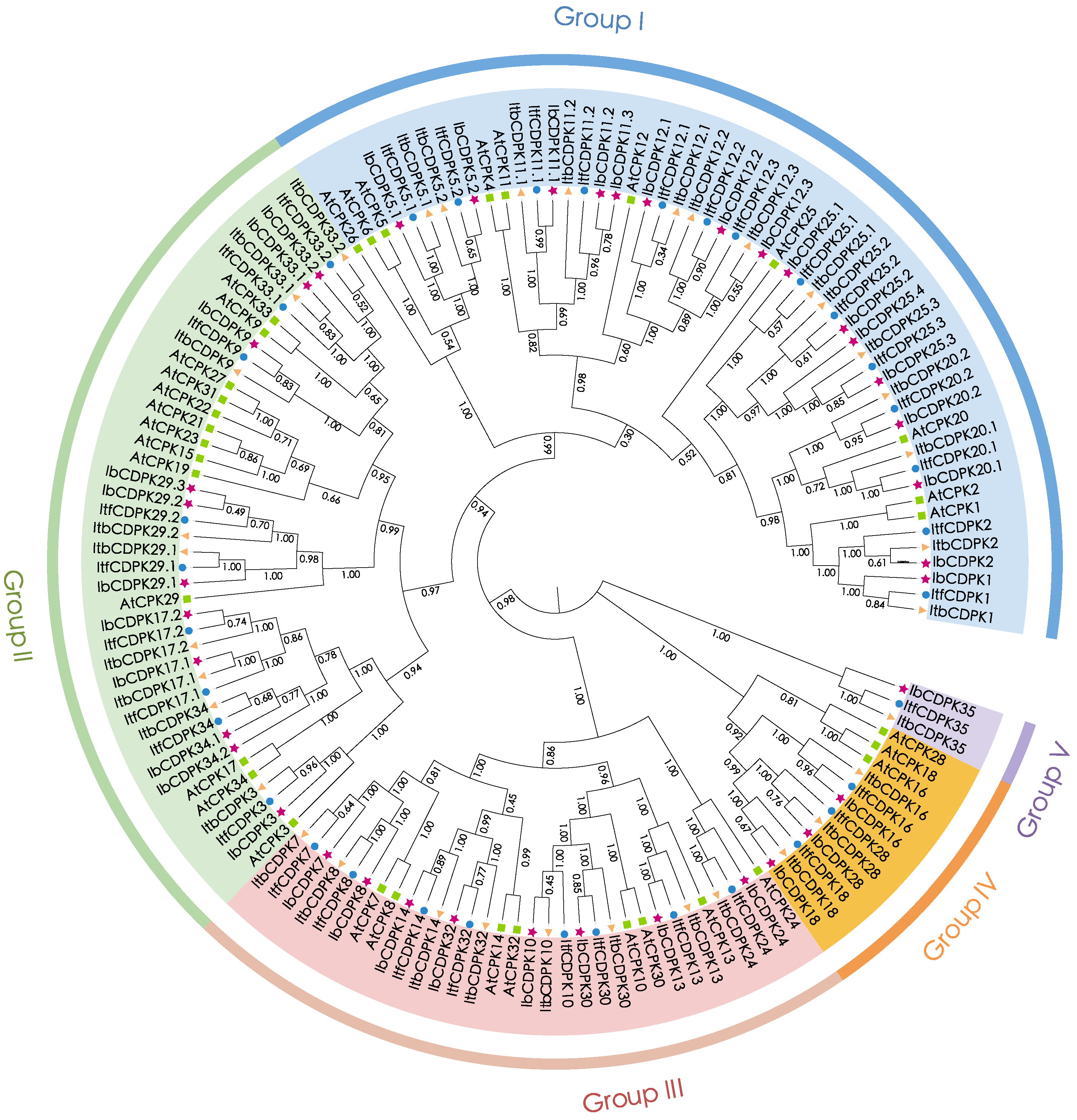 Ijms 23 03088 g002 550