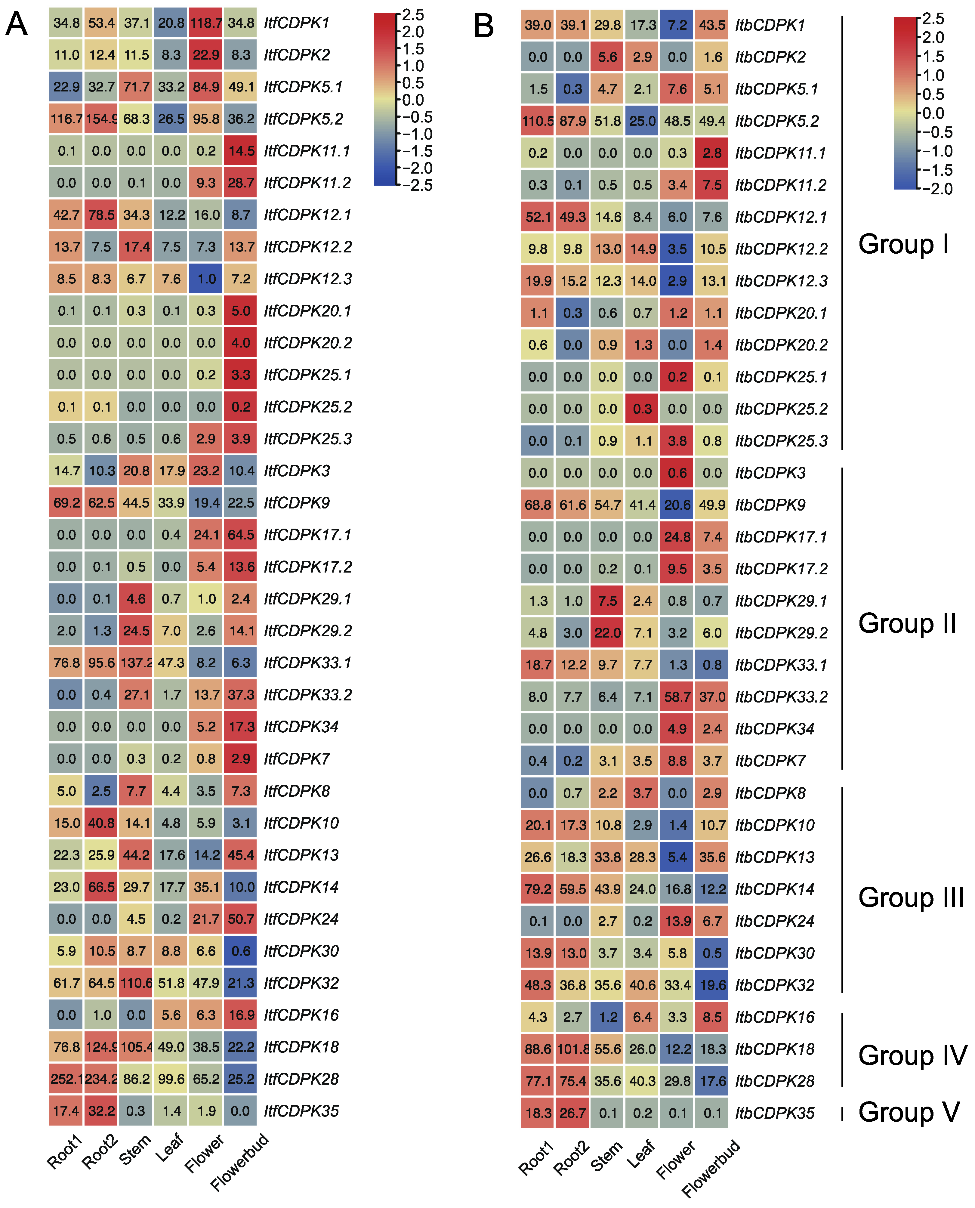 Ijms 23 03088 g007 550