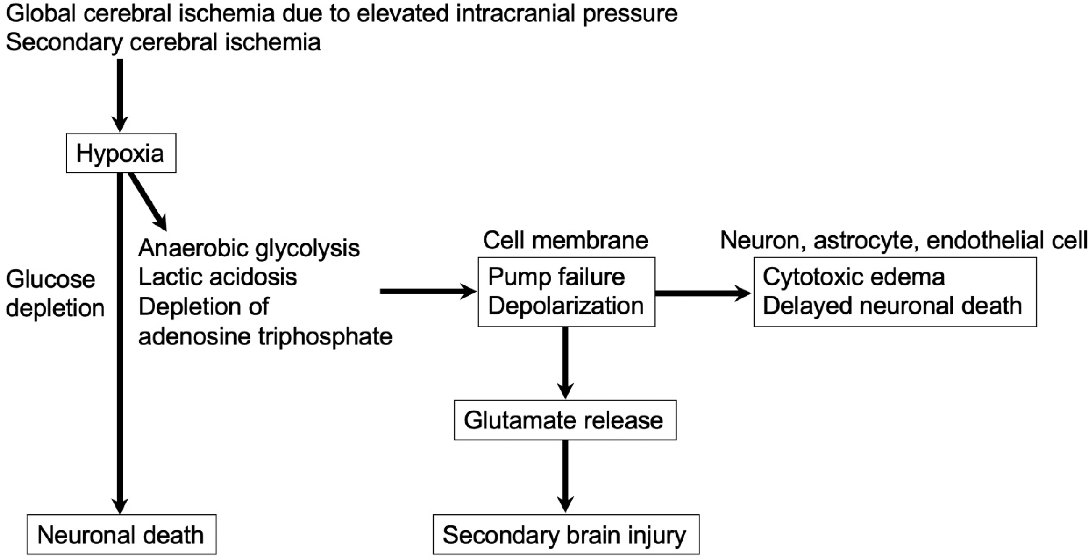 Ijms 23 03102 g001 Ijms 23 03102 g001