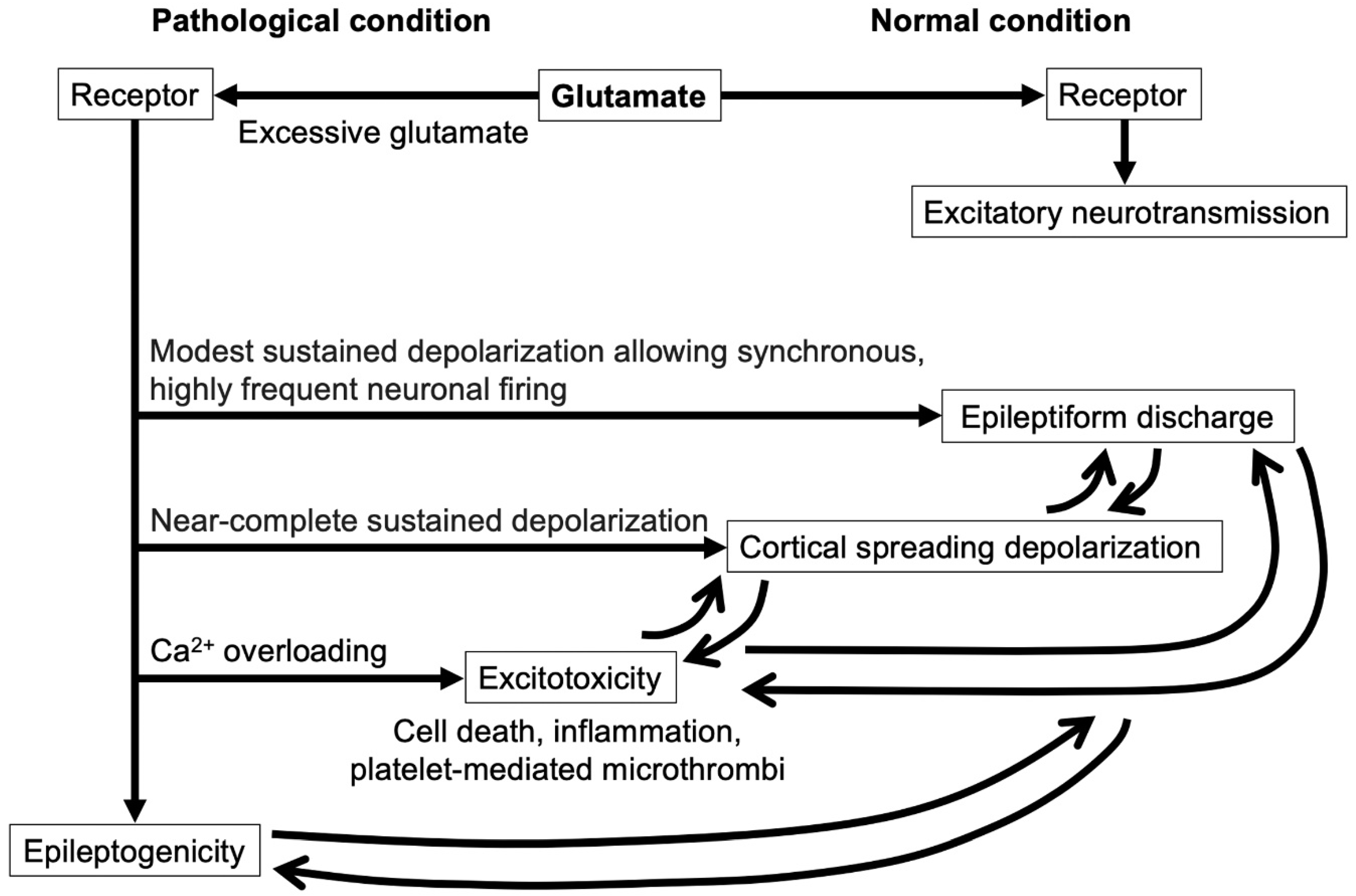Ijms 23 03102 g002 Ijms 23 03102 g002