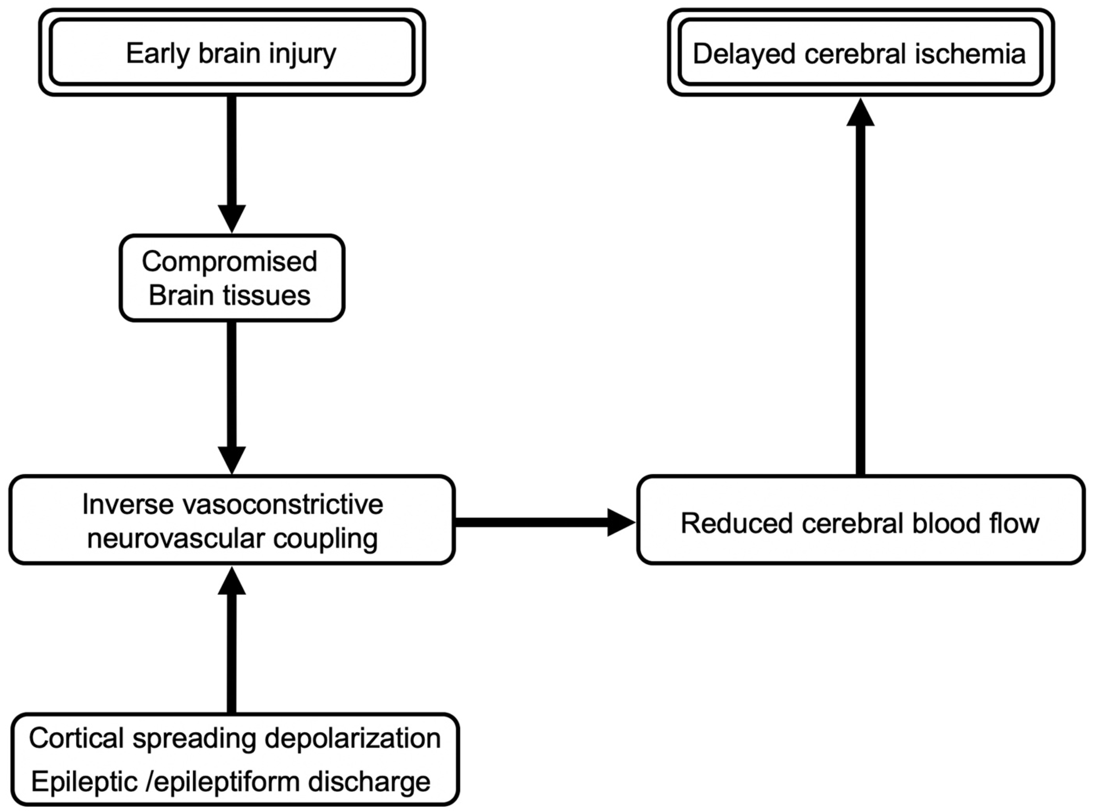 Ijms 23 03102 g004 Ijms 23 03102 g004