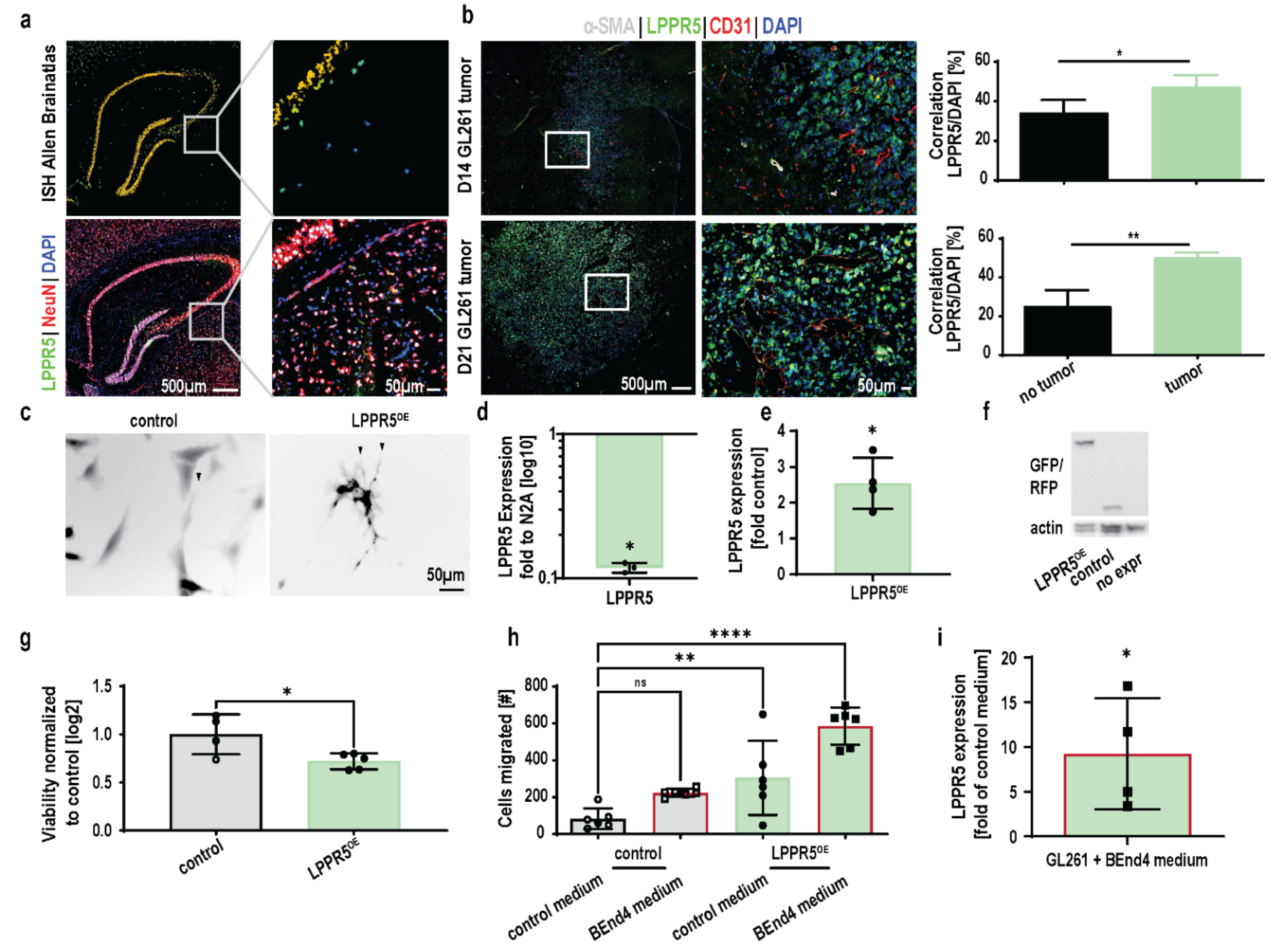 Ijms 23 03108 g002 Ijms 23 03108 g002