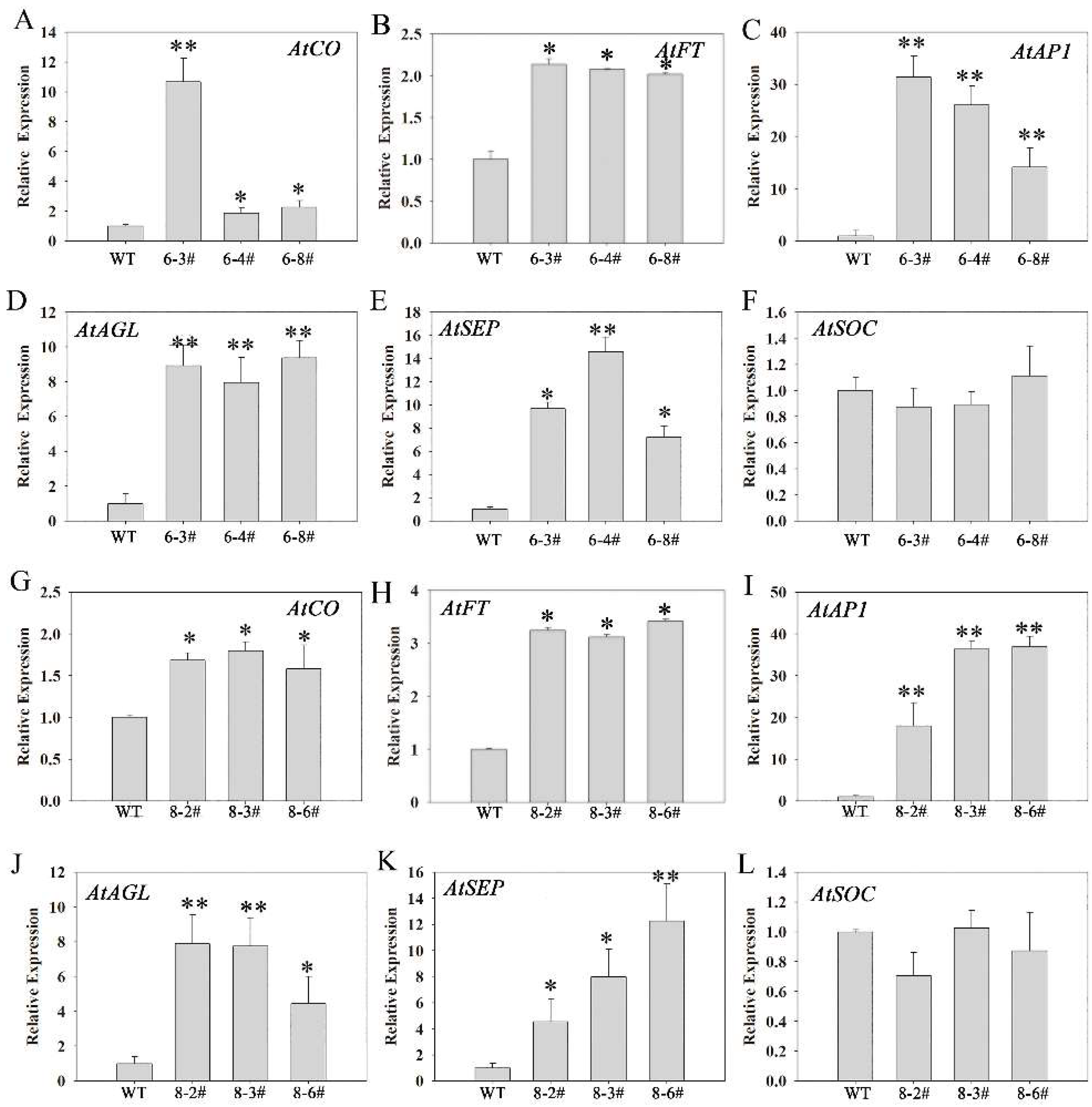 Ijms 23 03116 g010 Ijms 23 03116 g010