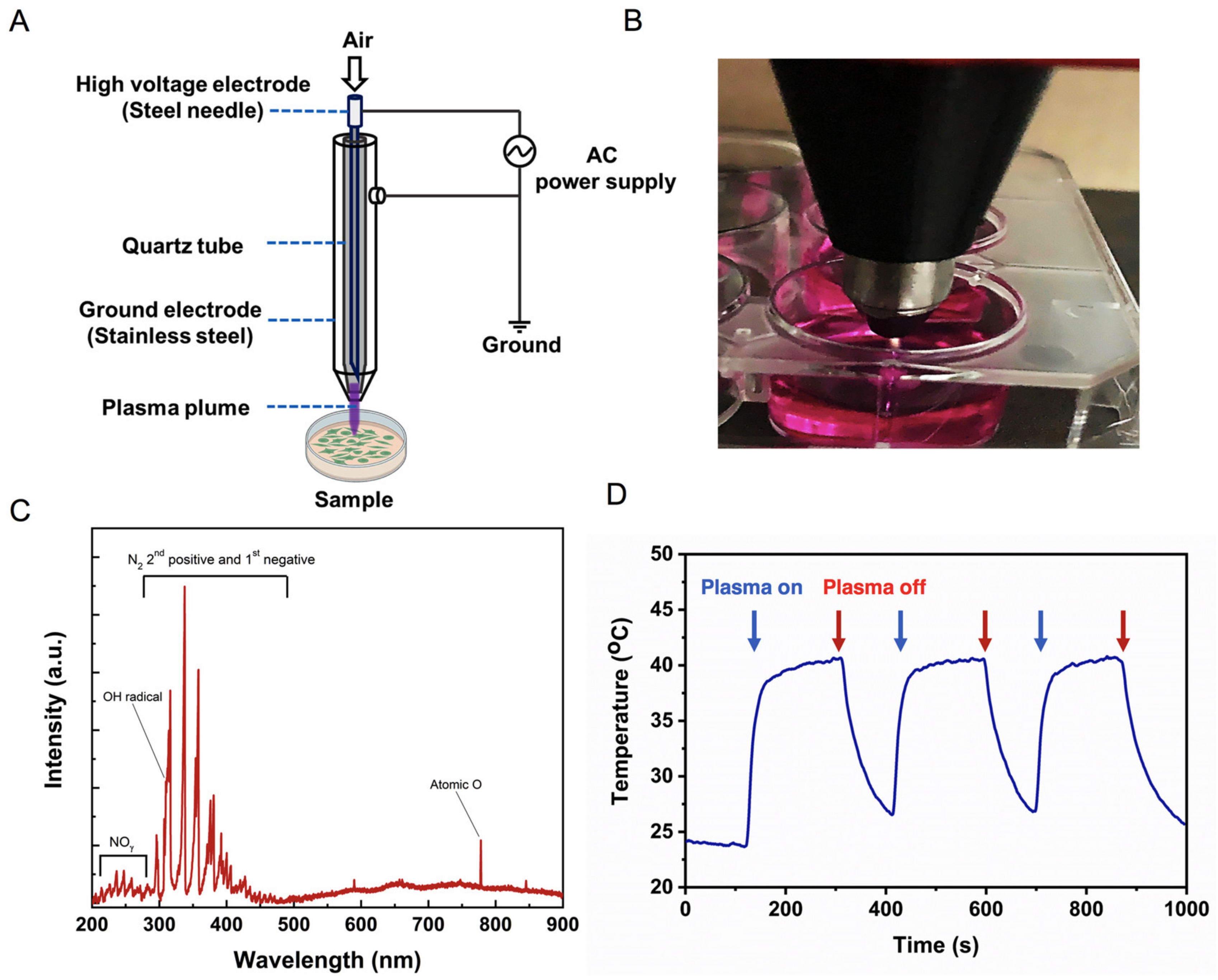 Ijms 23 03120 g001 550
