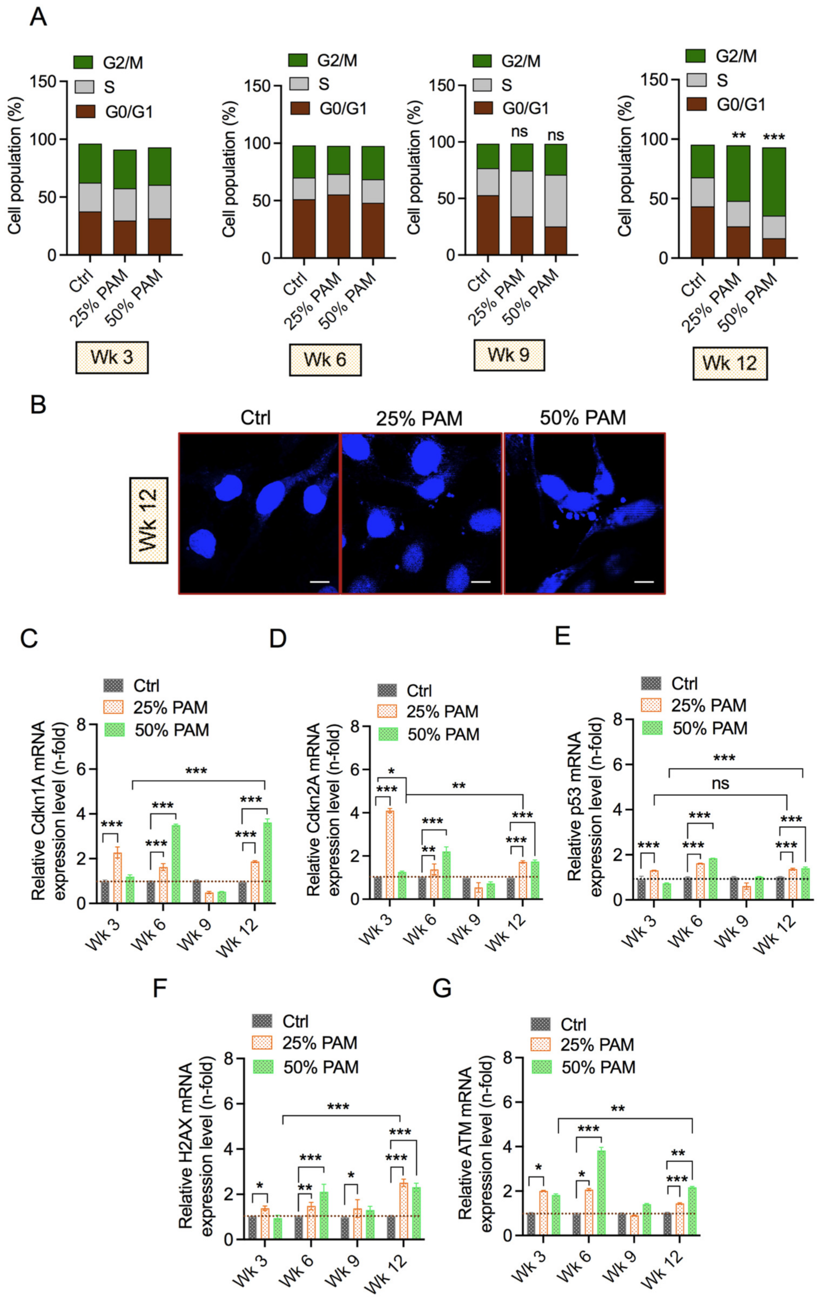 Ijms 23 03120 g005 550