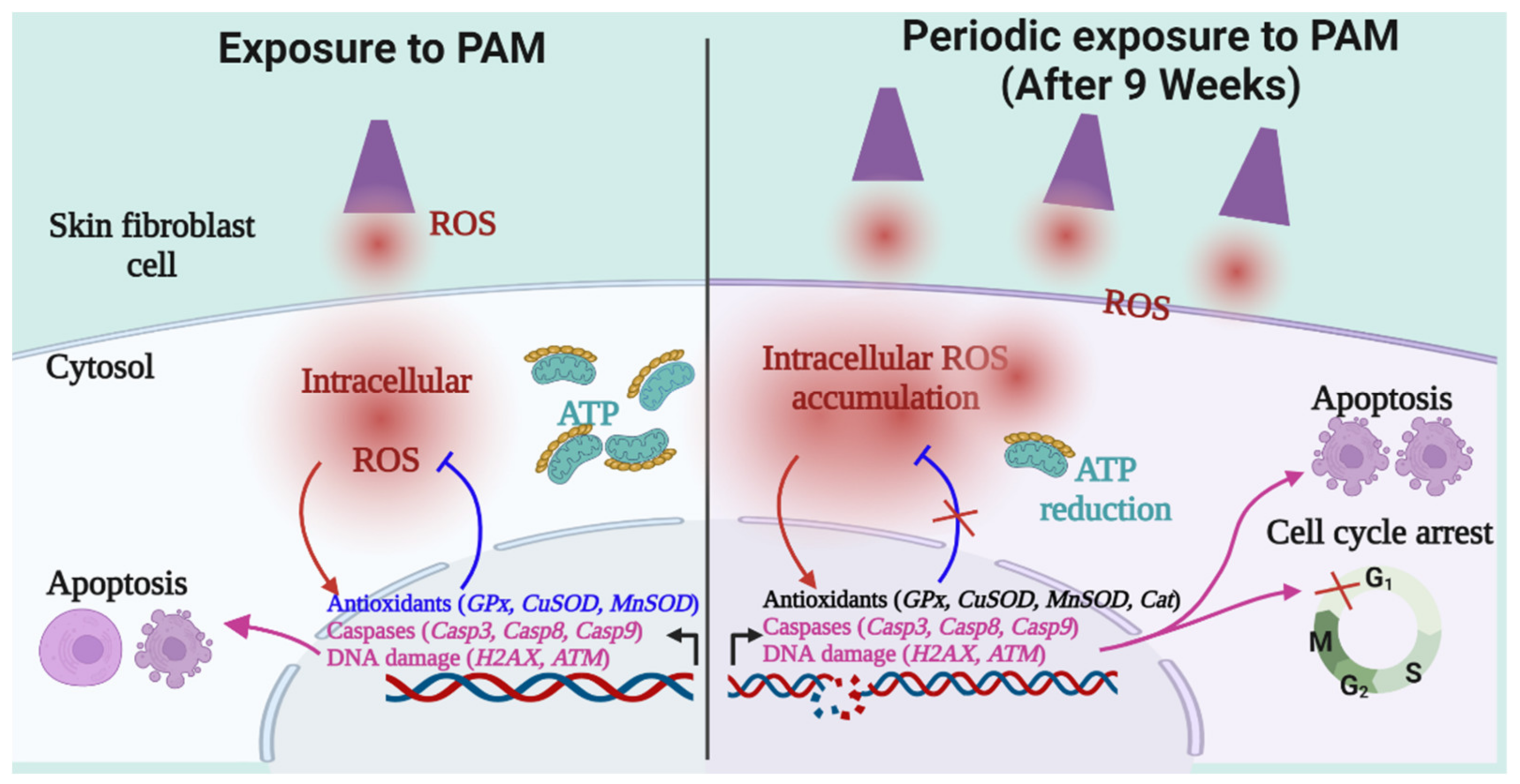 Ijms 23 03120 g006 550