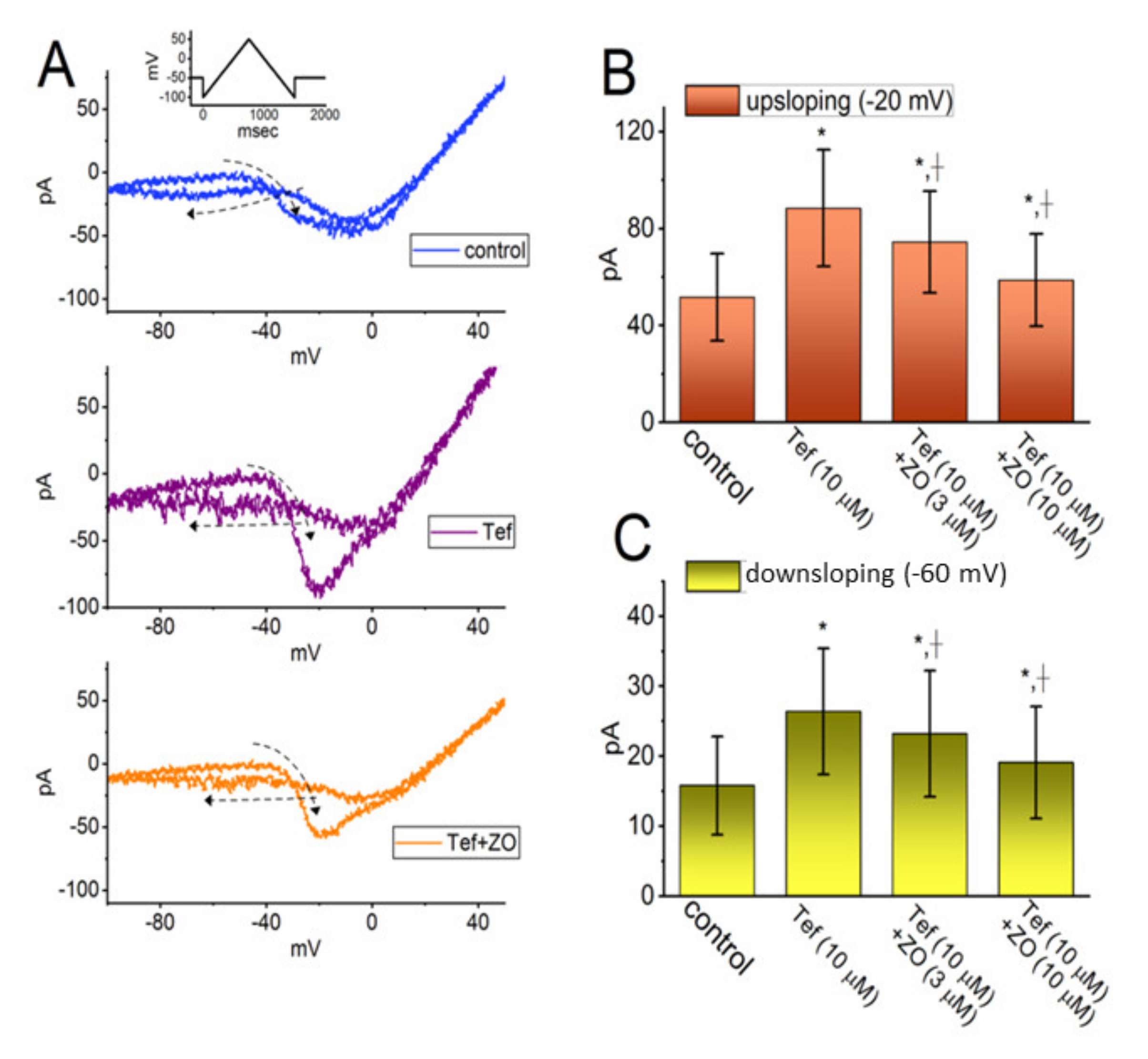 Ijms 23 03123 g002 550