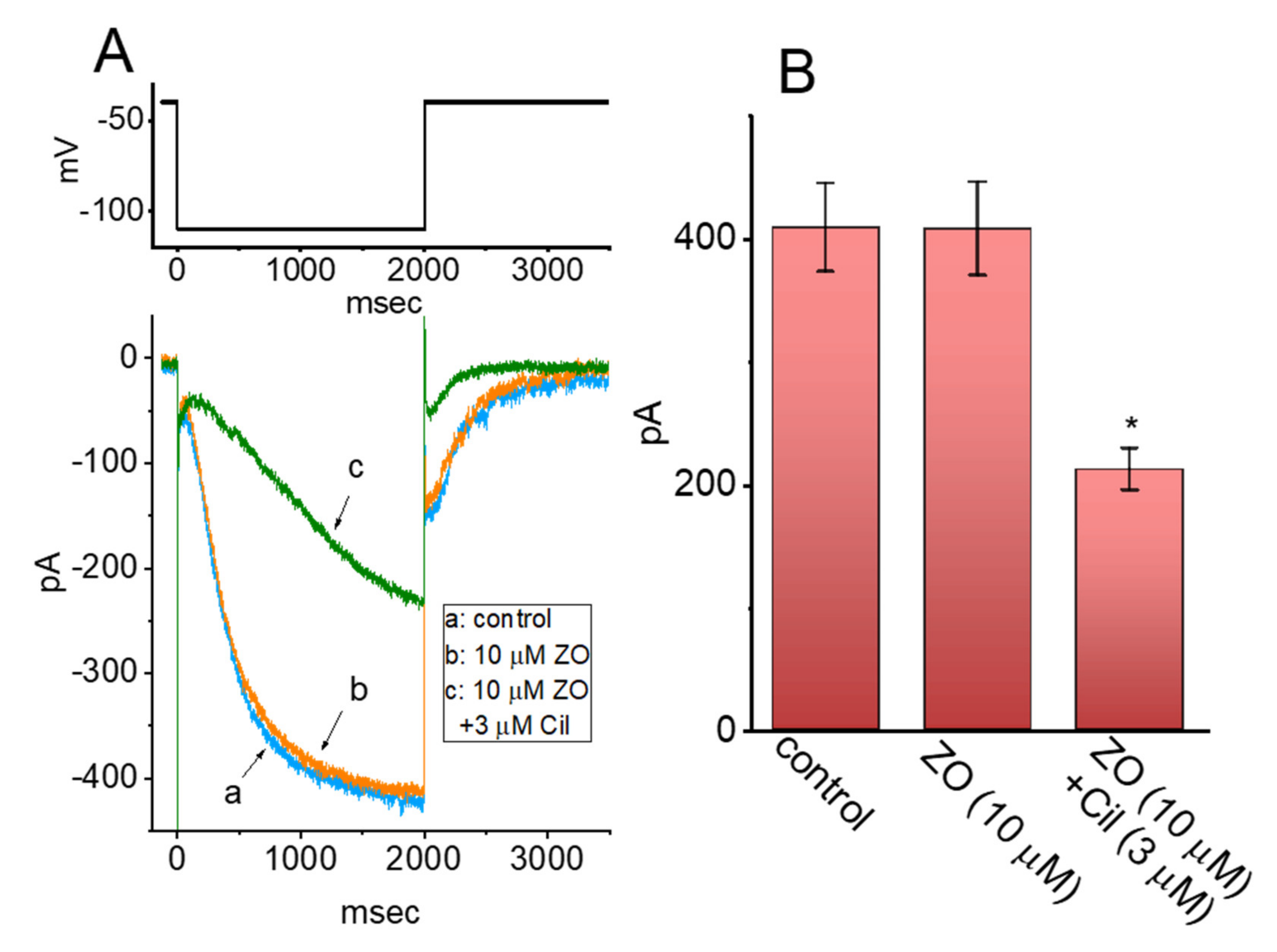 Ijms 23 03123 g006 550
