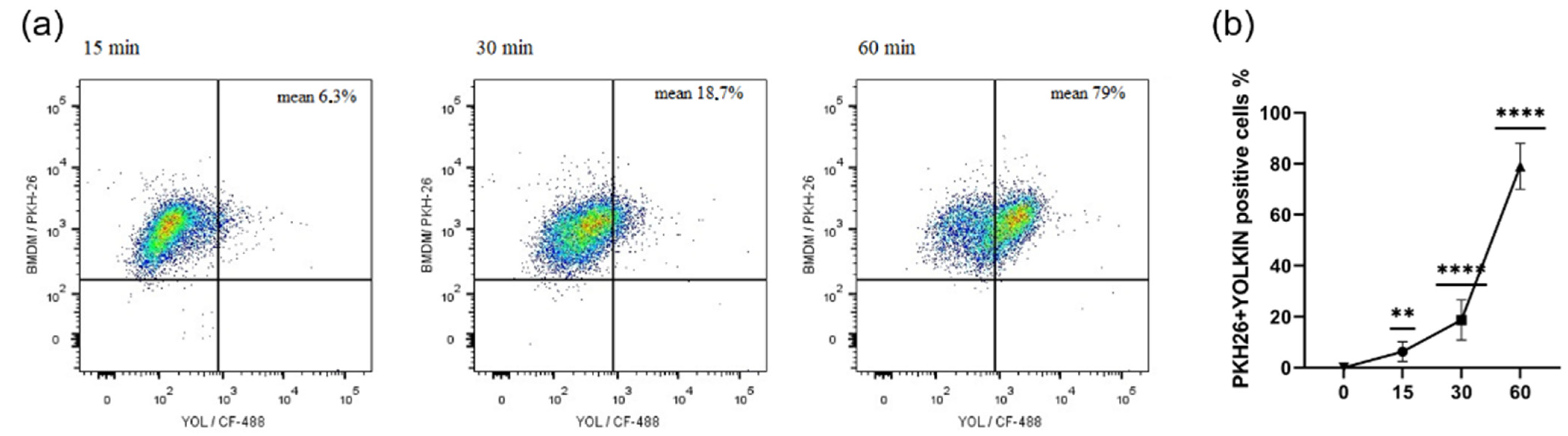 Ijms 23 03125 g001 550