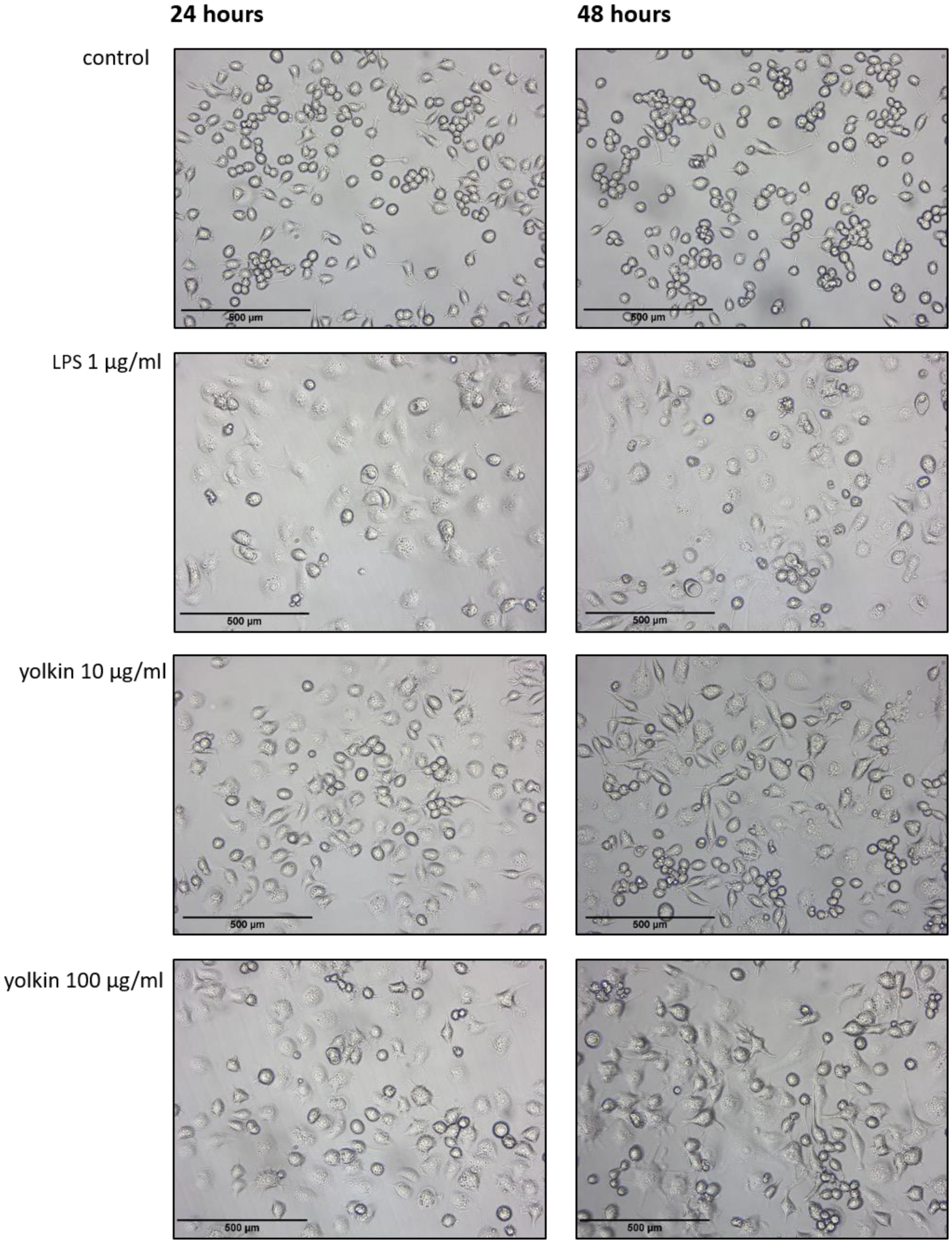 Ijms 23 03125 g003 550