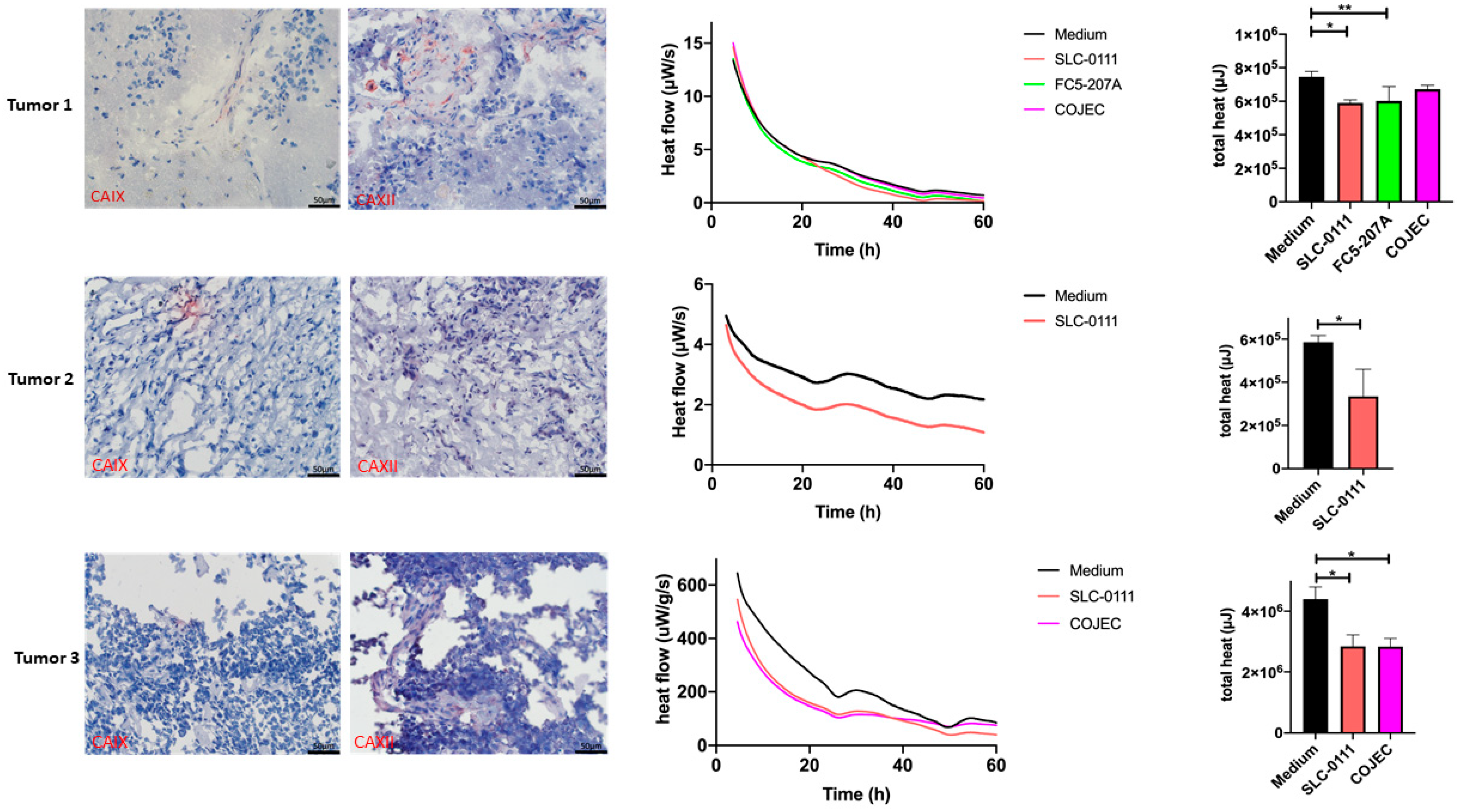 Ijms 23 03128 g003 550