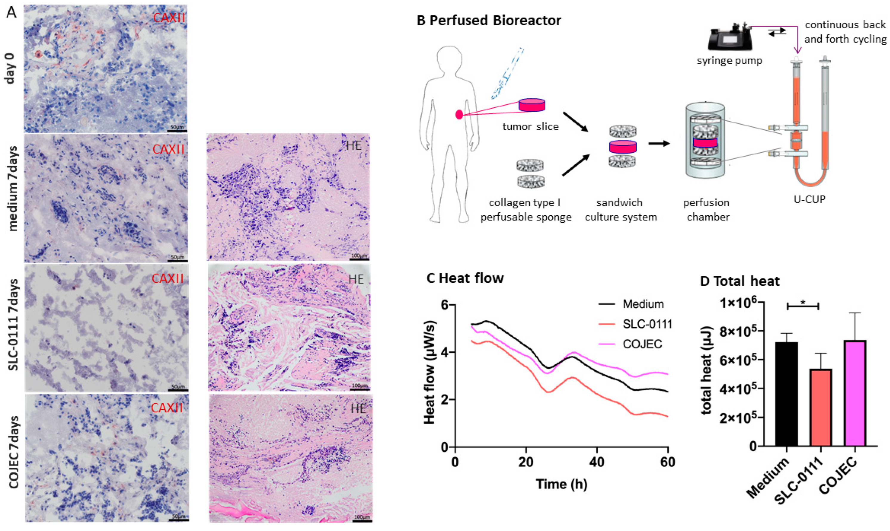 Ijms 23 03128 g004 550