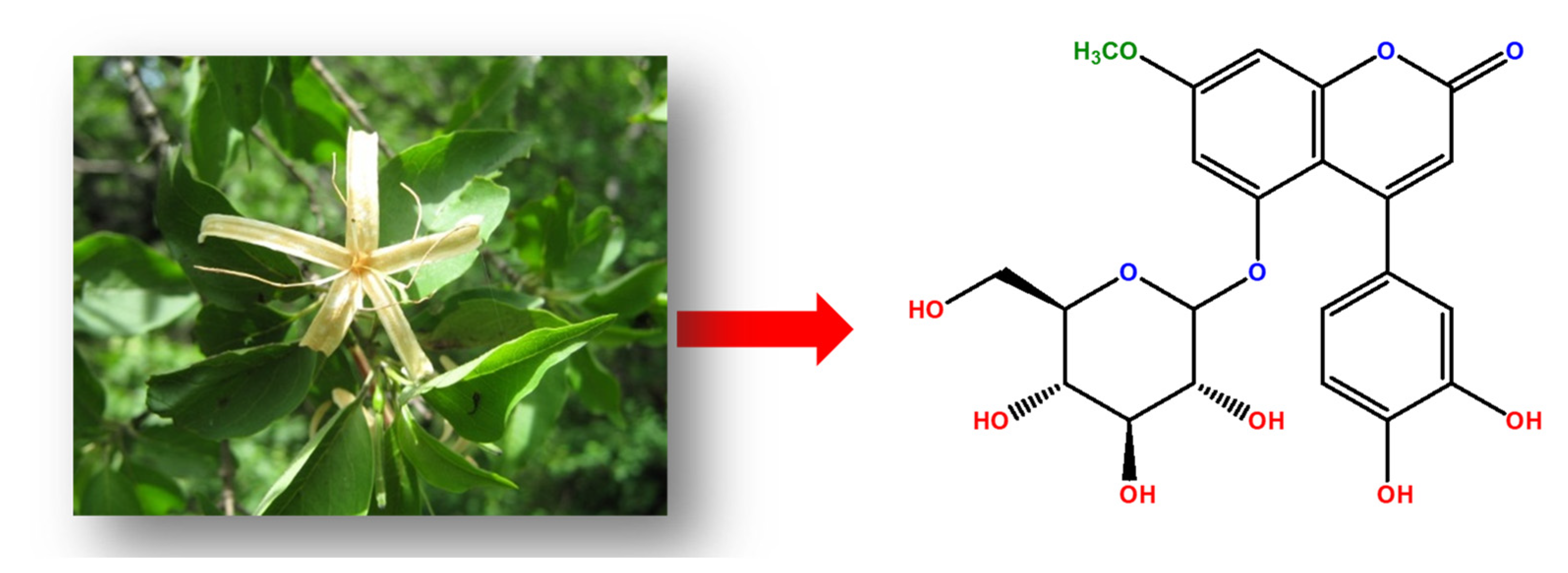 Ijms 23 03130 g002 550