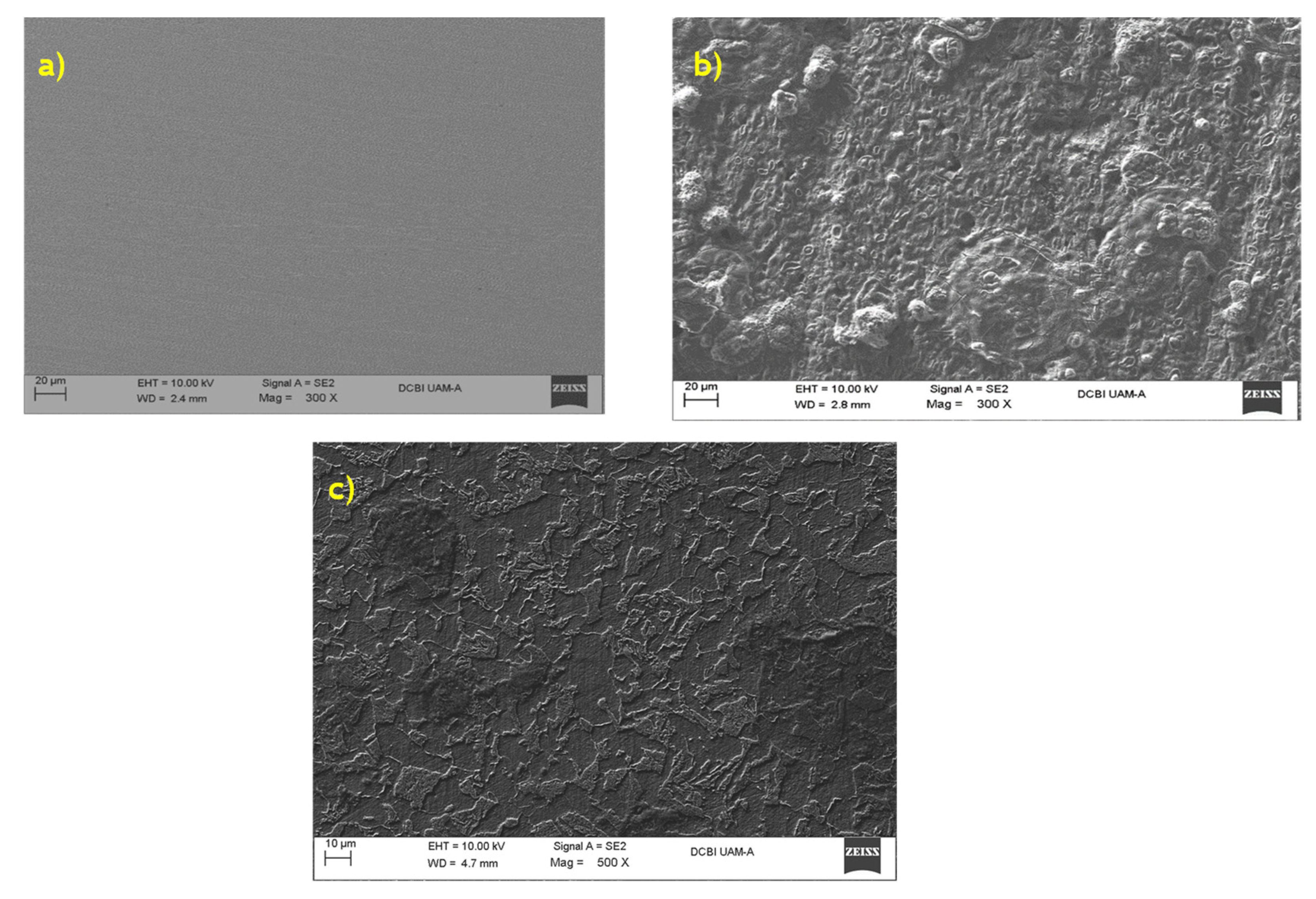 Ijms 23 03130 g011 550